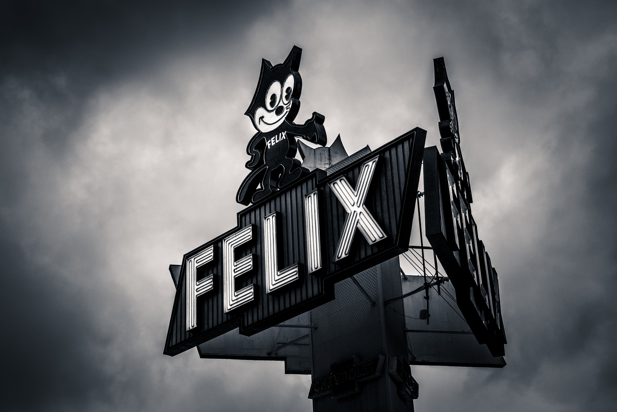 Fujifilm X-Pro2 + Fujifilm XF 16-55mm F2.8 R LM WR sample photo. Felix the cat photography