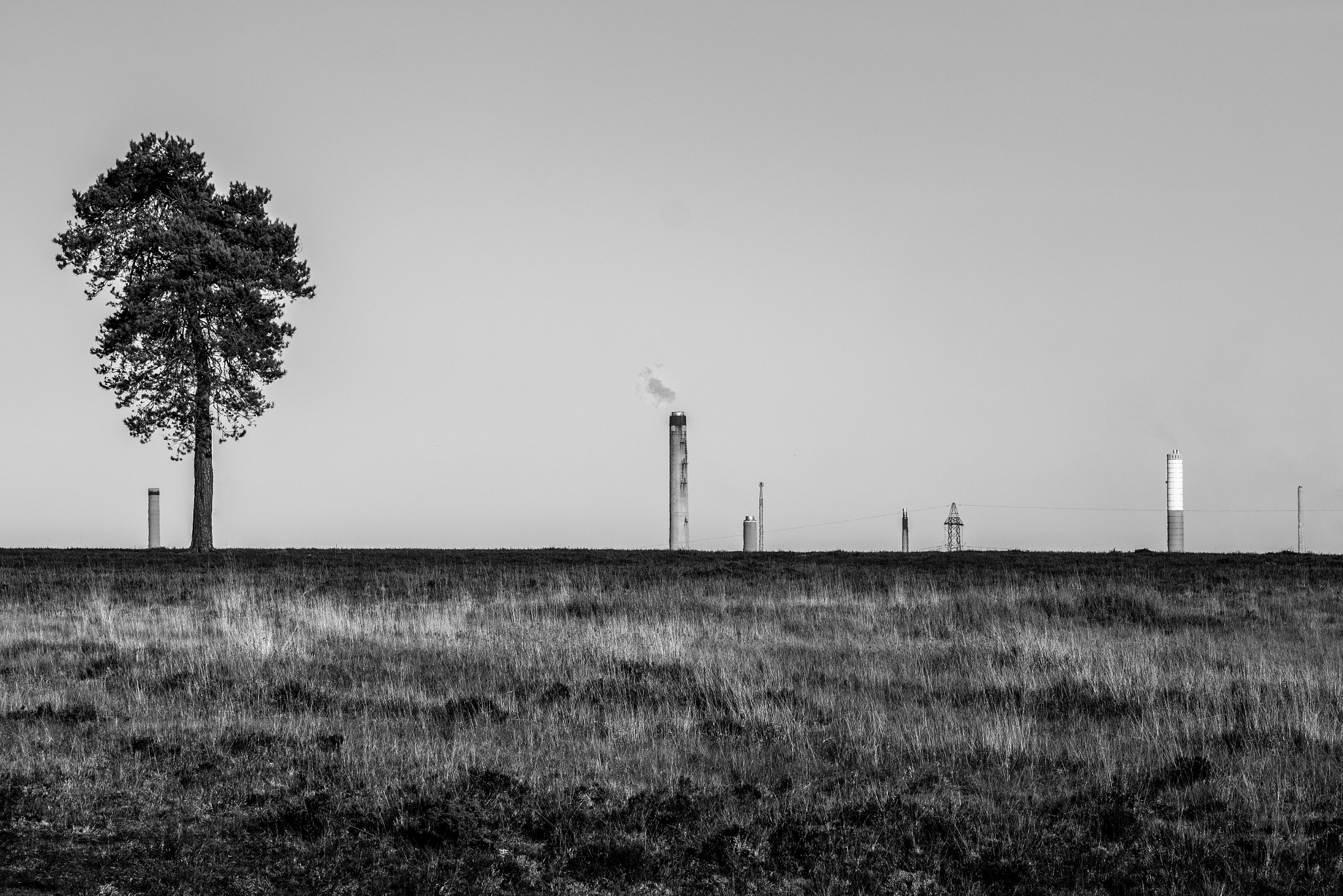 Canon EOS 700D (EOS Rebel T5i / EOS Kiss X7i) sample photo. Tree and chimneys photography