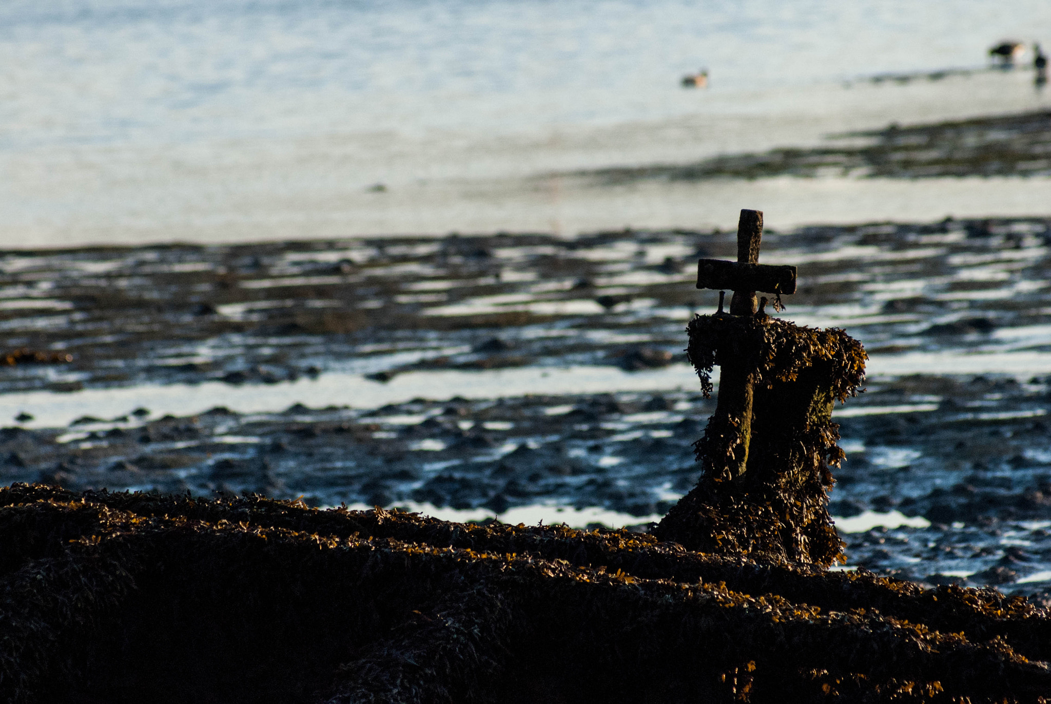 Sony 75-300mm F4.5-5.6 sample photo. Sinking boat with cross photography
