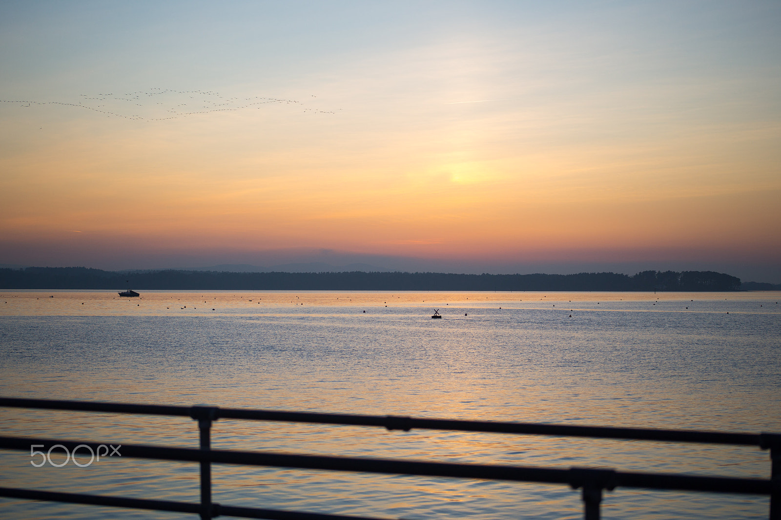 Canon EOS 6D + EF75-300mm f/4-5.6 sample photo. Flight at sunset photography