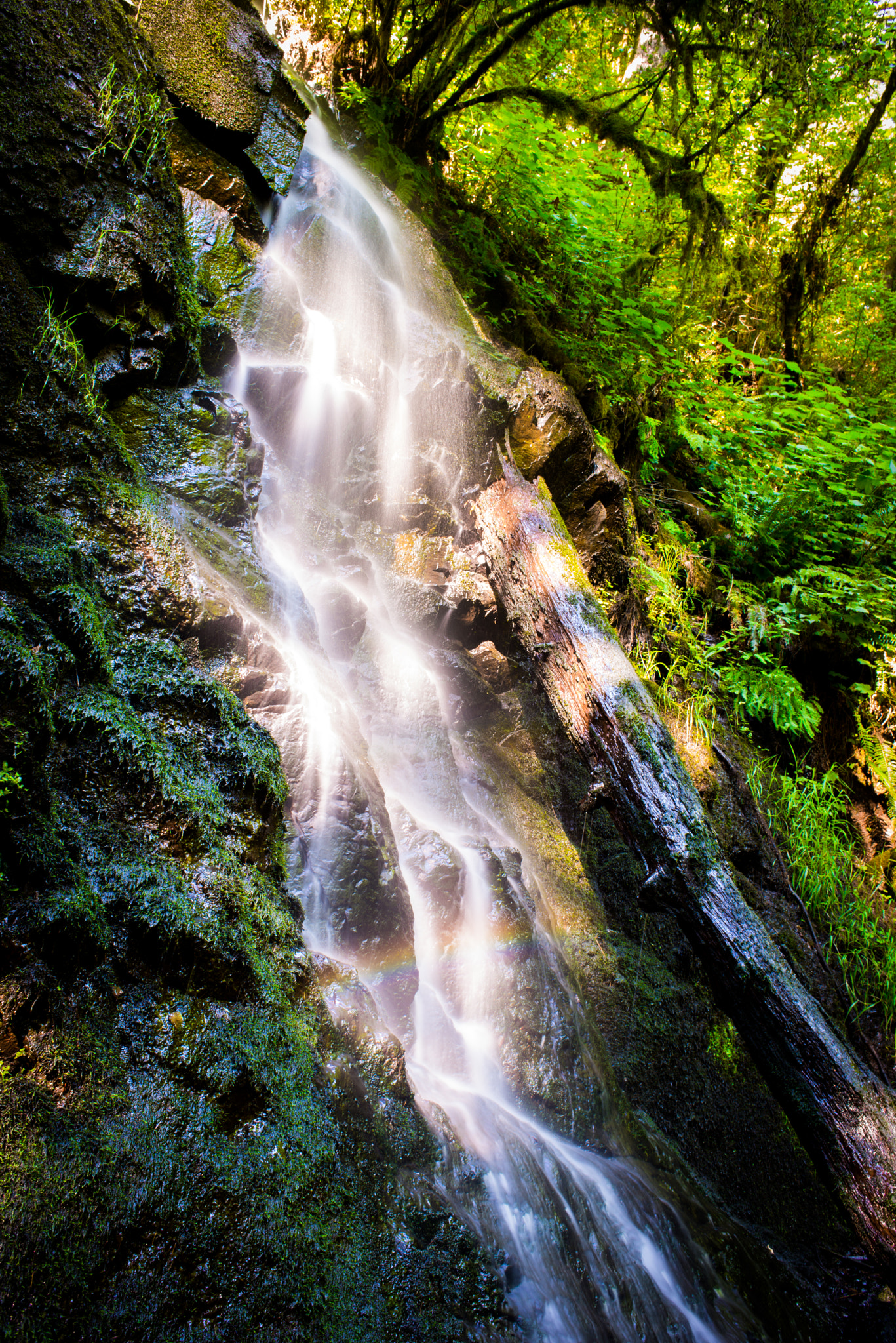 Nikon AF Nikkor 28mm F2.8D sample photo. Beautiful waterfall photography