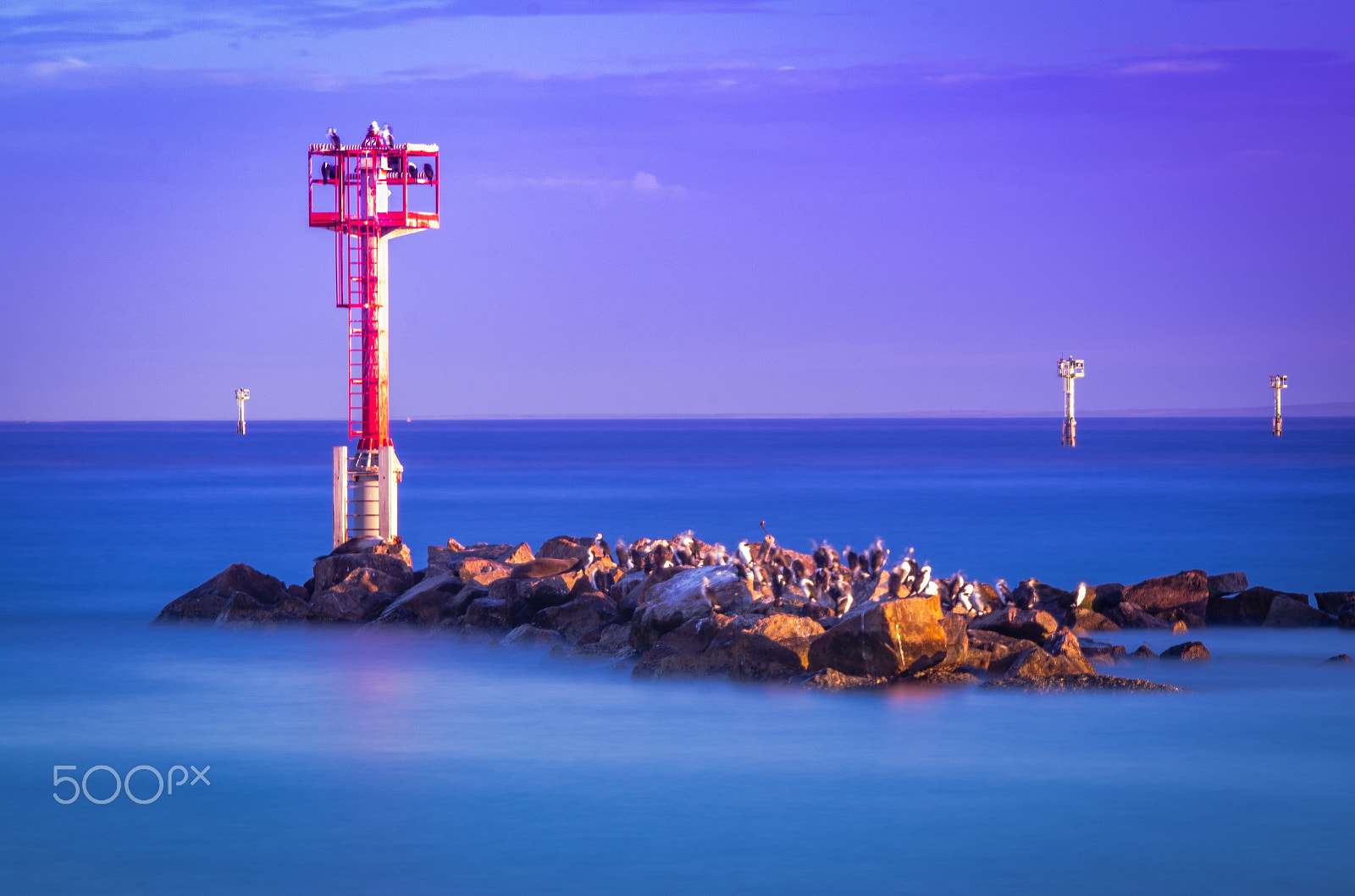 Sigma 70-200mm F2.8 EX DG OS HSM sample photo. Seal rock photography