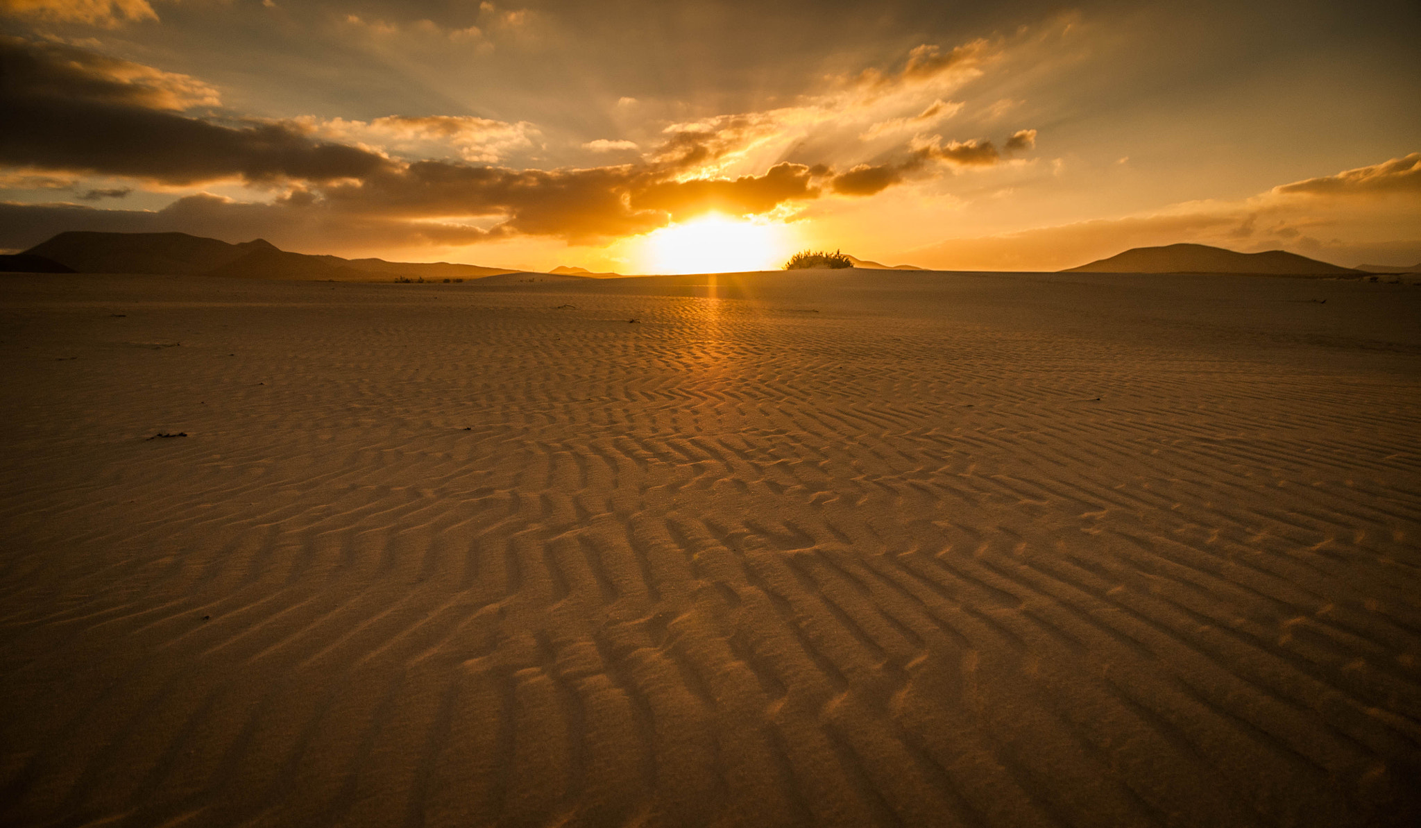 Nikon D300 sample photo. Atardecer en las dunas (desierto) photography
