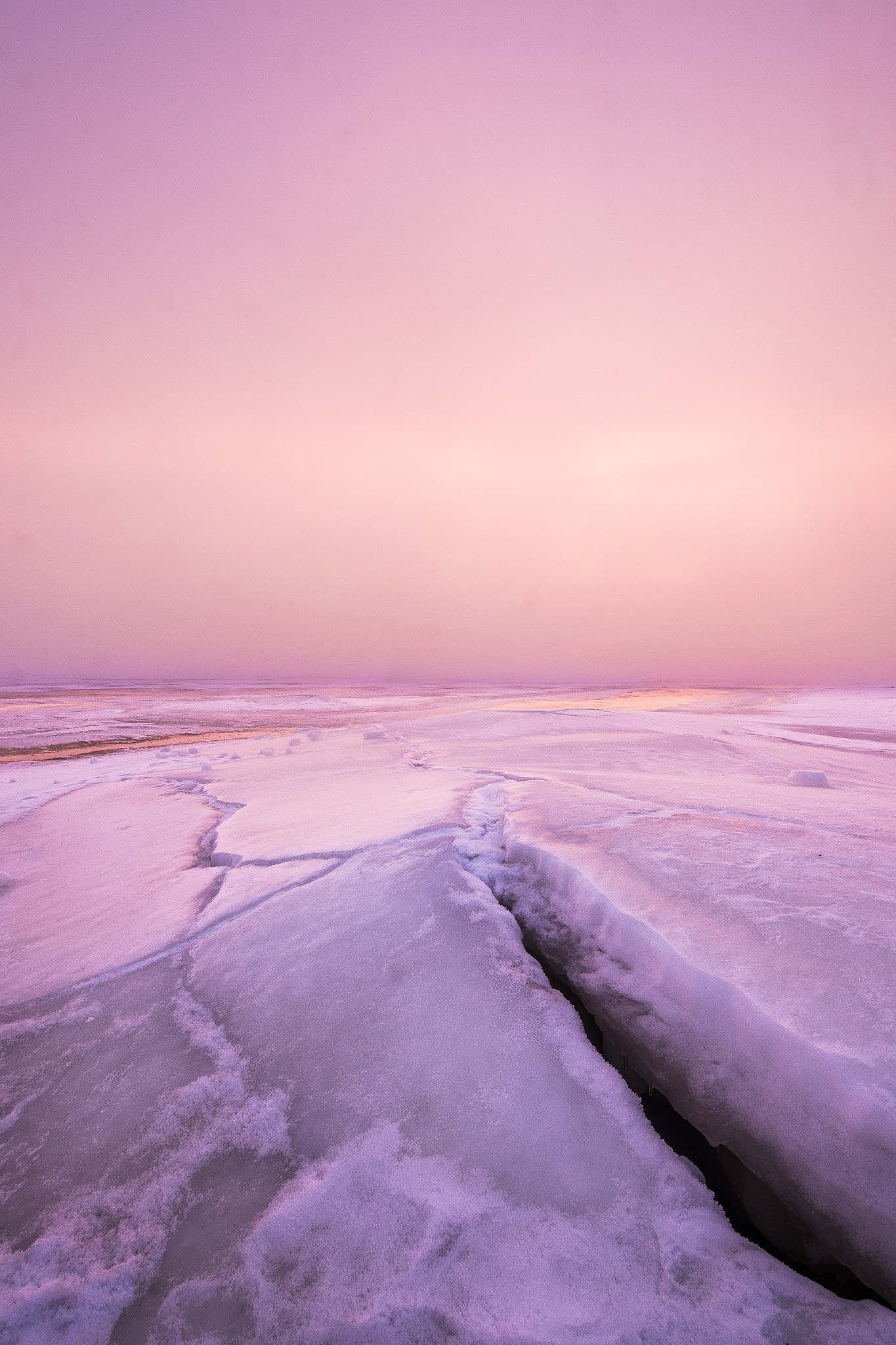Nikon D7200 sample photo. Pink crack. photography