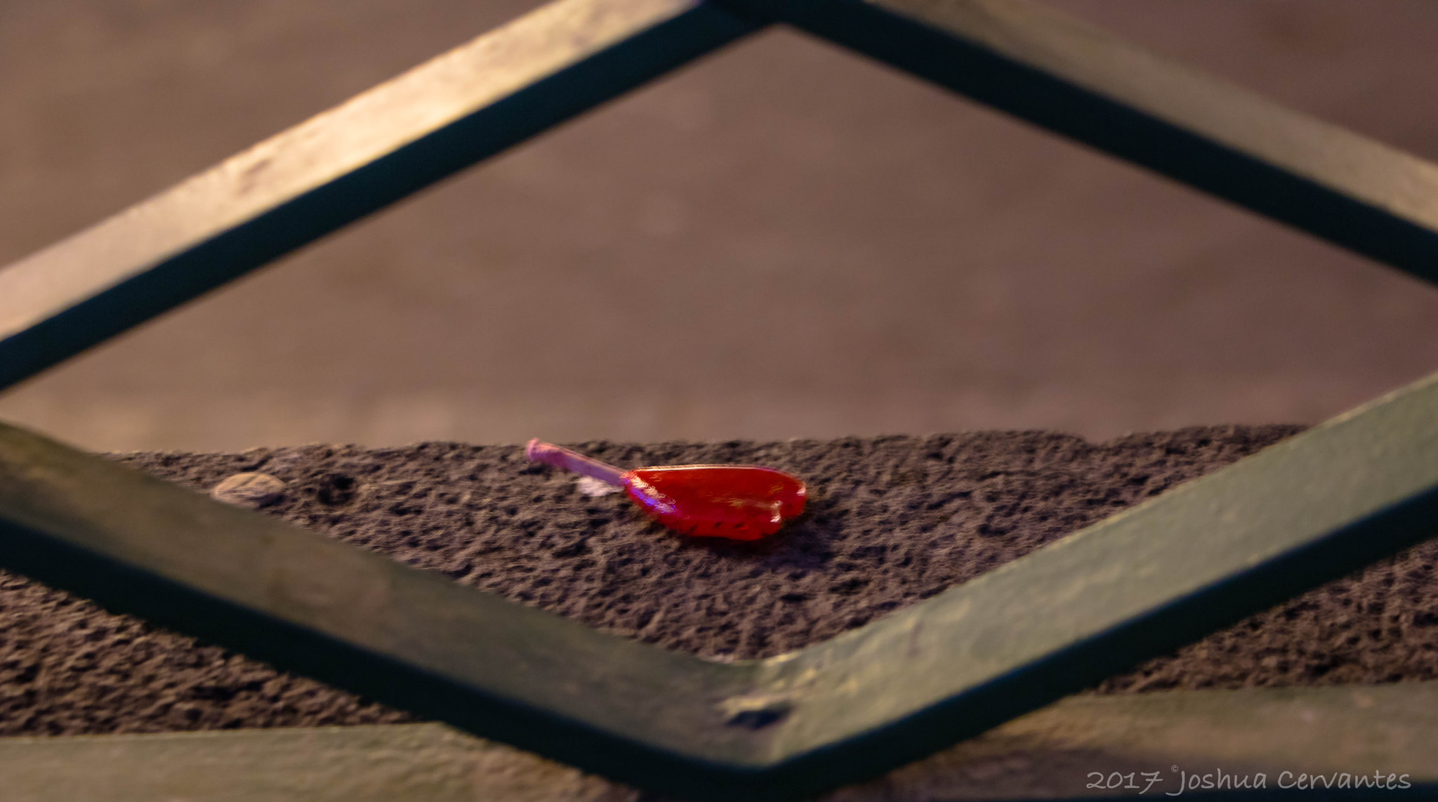 Canon EOS 750D (EOS Rebel T6i / EOS Kiss X8i) sample photo. All this week you let me with a broken heart. photography
