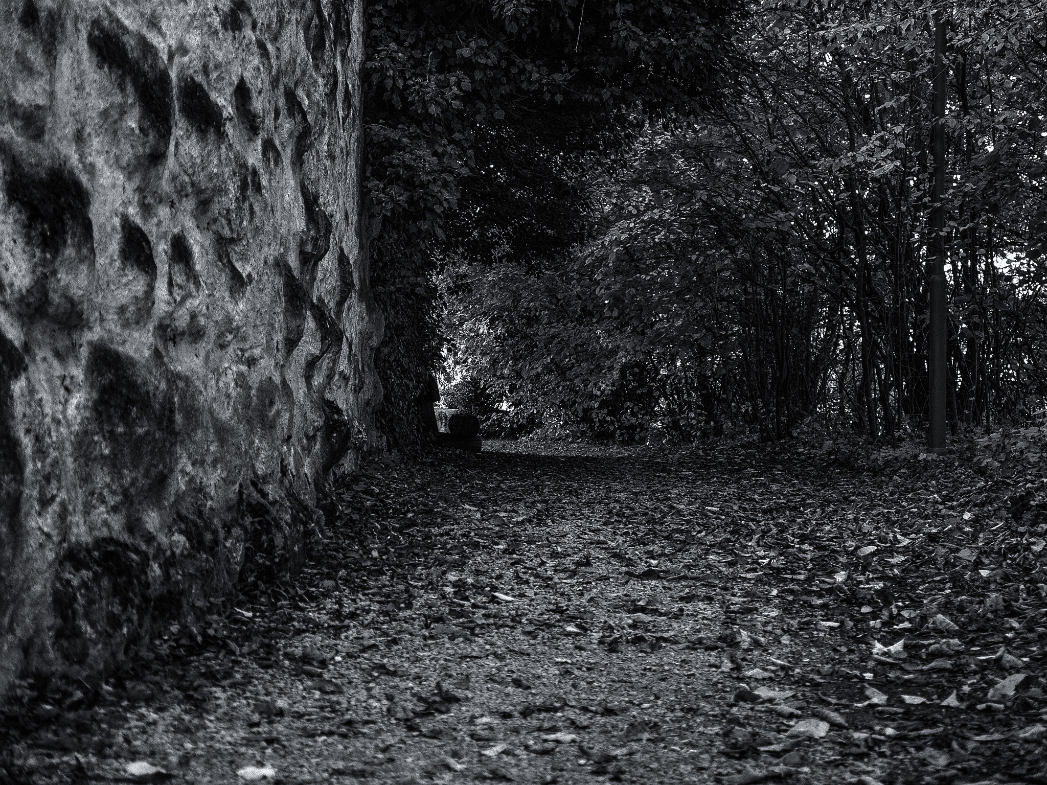 Panasonic Lumix DMC-G5 sample photo. An der schlossmauer photography