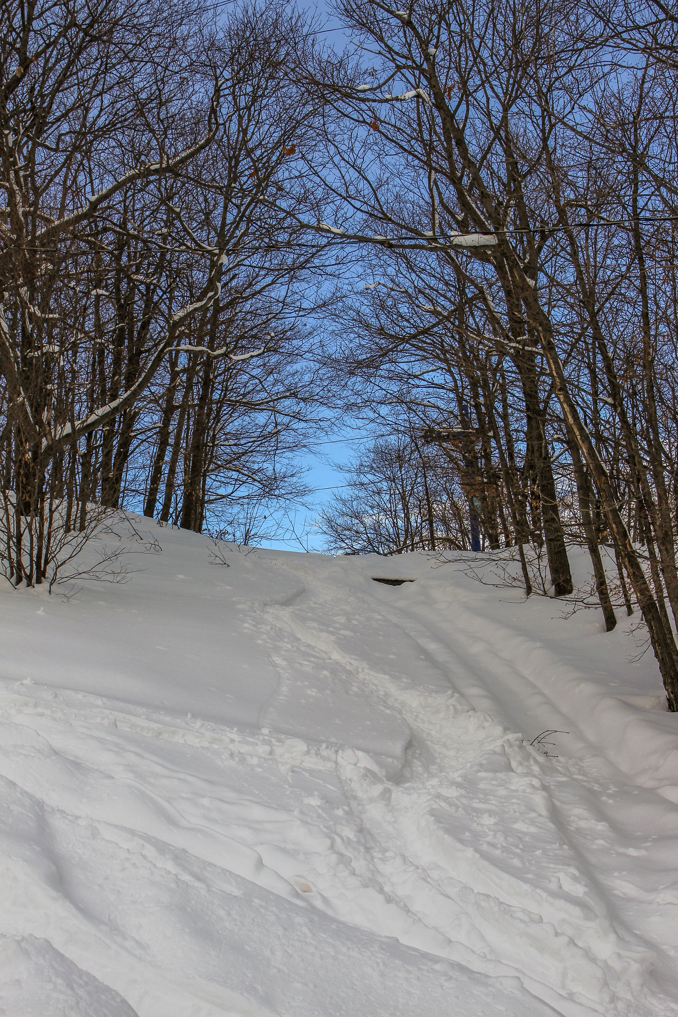 Canon EF 24-70mm F4L IS USM sample photo. Hicking ski photography