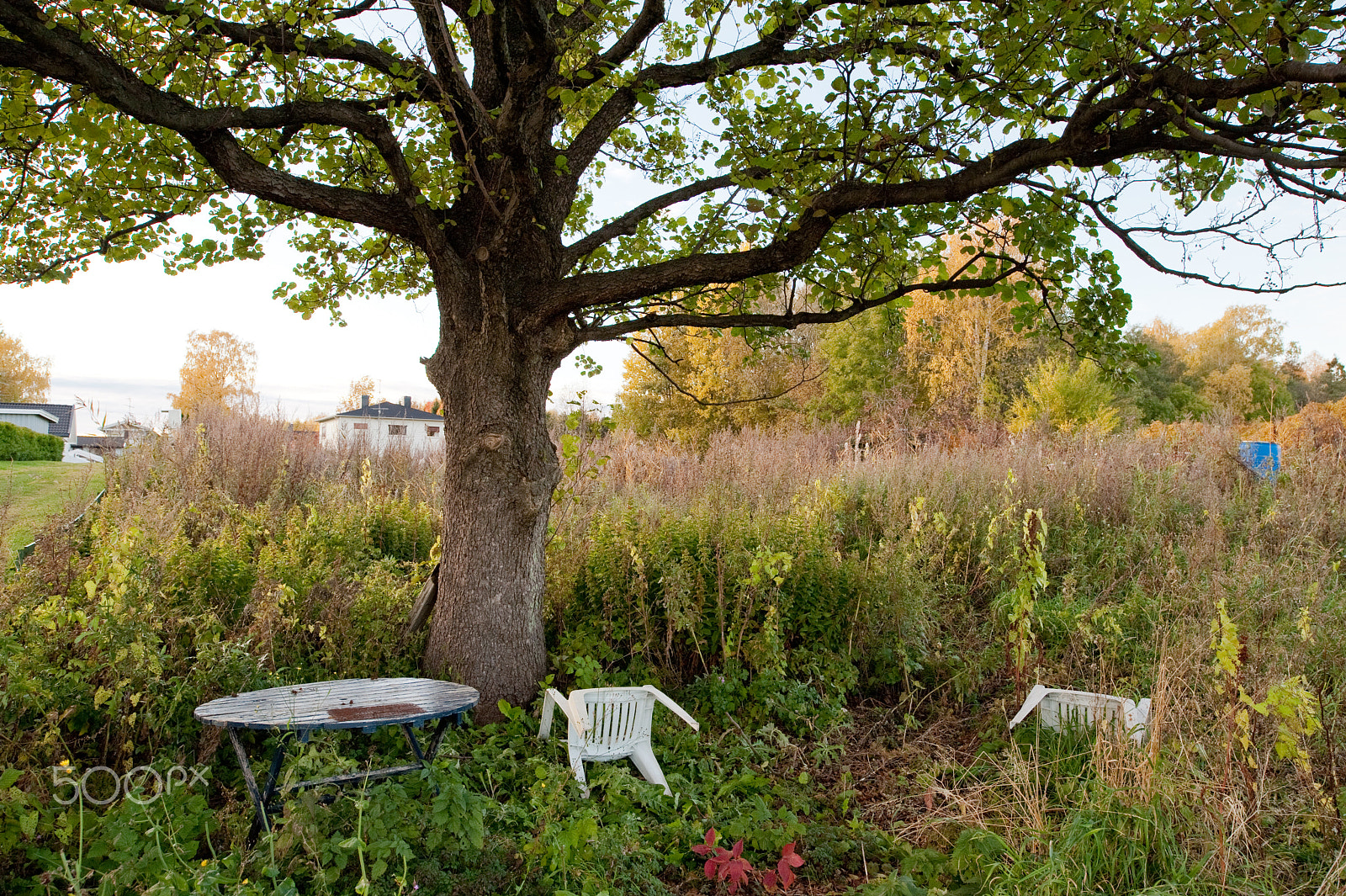 Nikon D700 + Nikon PC-E Nikkor 24mm F3.5D ED Tilt-Shift sample photo. Chairs photography