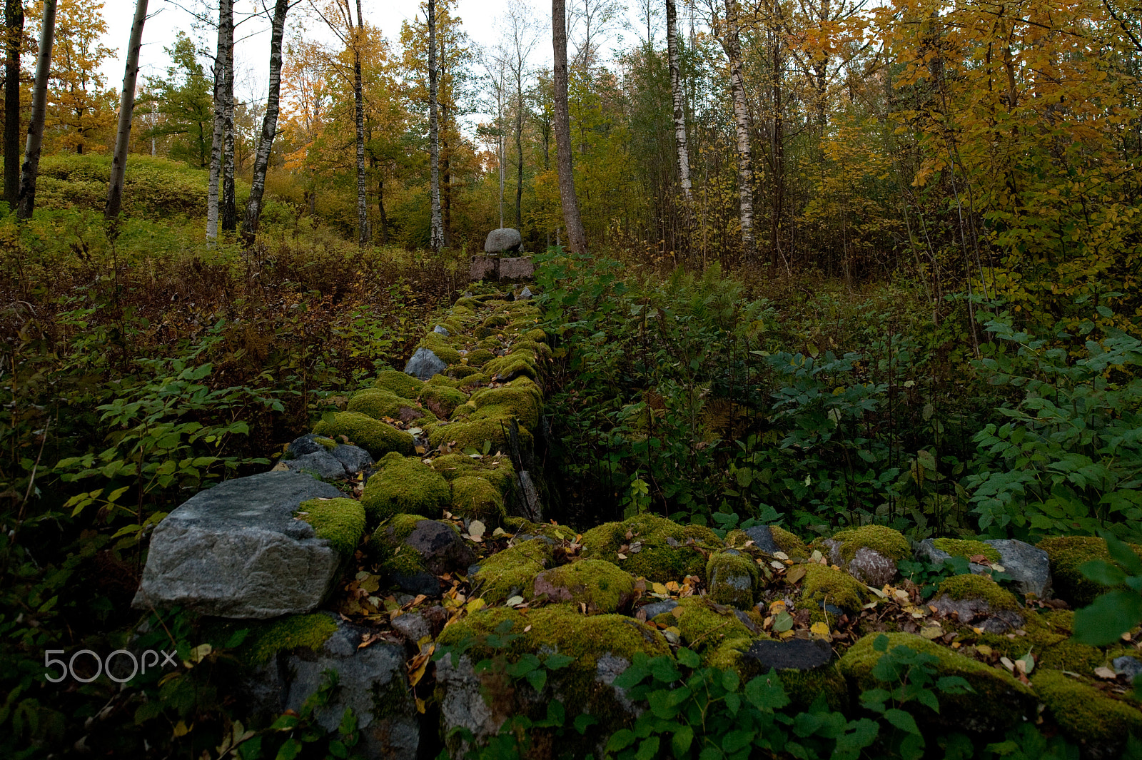 Nikon D700 + Nikon PC-E Nikkor 24mm F3.5D ED Tilt-Shift sample photo. Old foundation photography