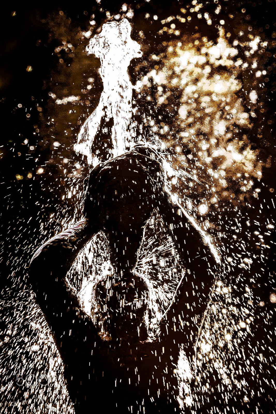 Canon EOS 1000D (EOS Digital Rebel XS / EOS Kiss F) sample photo. Fountain figure photography