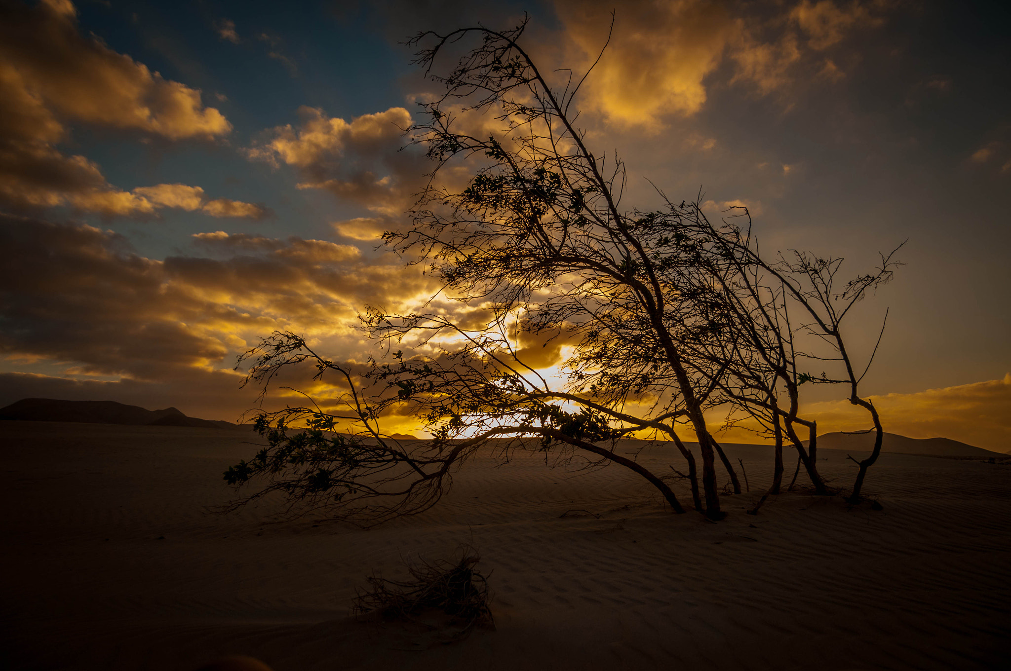 Nikon D300 sample photo. Atardecer en las dunas (desierto) photography