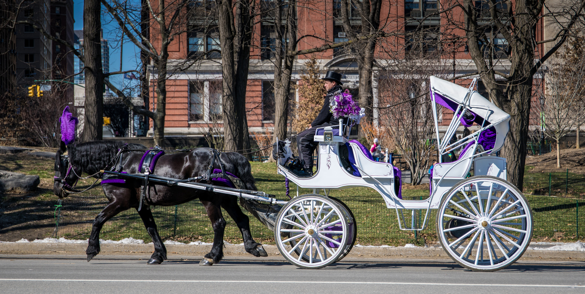 Canon EF 24-70mm F4L IS USM sample photo. Majestic ride photography