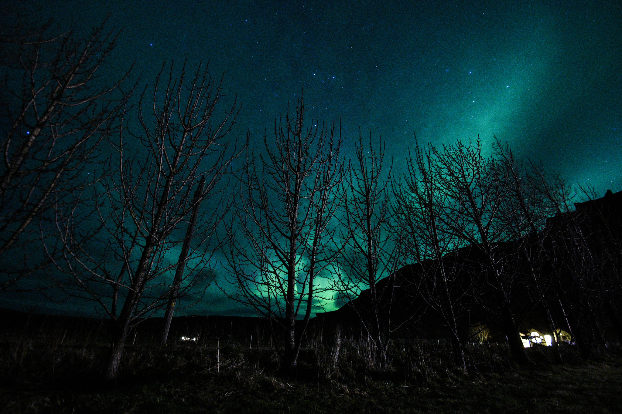 Nikon D500 + Tamron SP AF 10-24mm F3.5-4.5 Di II LD Aspherical (IF) sample photo. Just now in iceland photography