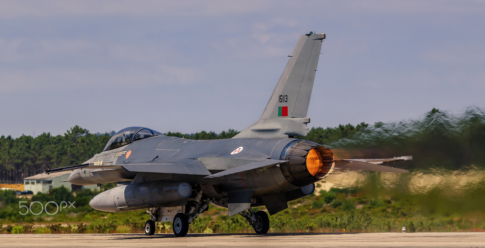 Sigma 120-400mm F4.5-5.6 DG OS HSM sample photo. Fap f-16 mlu 15113 photography