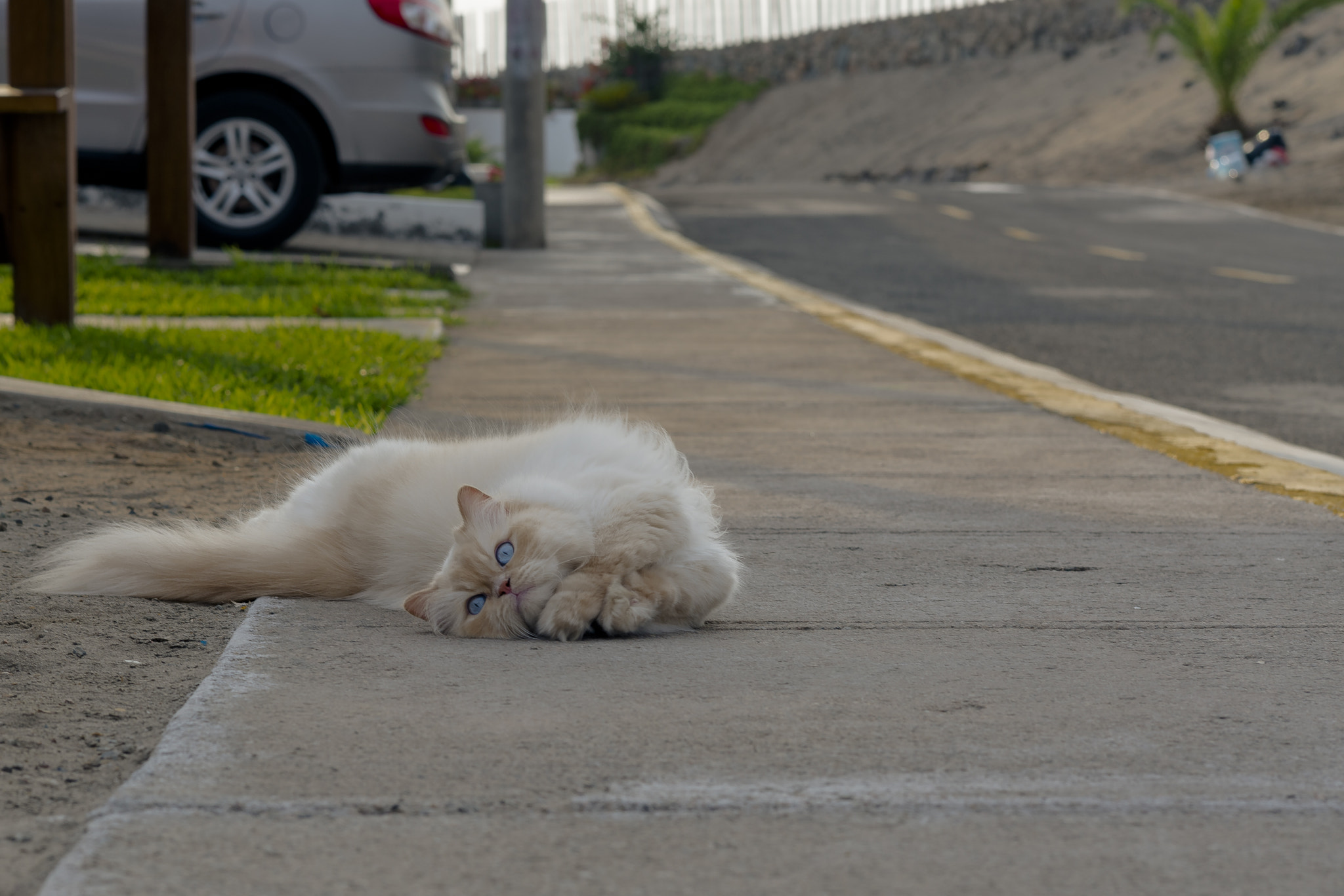 Sony a7R II sample photo. Luana in the street photography