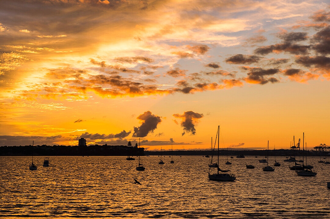 Nikon Df sample photo. Harbour bridge sunrise photography