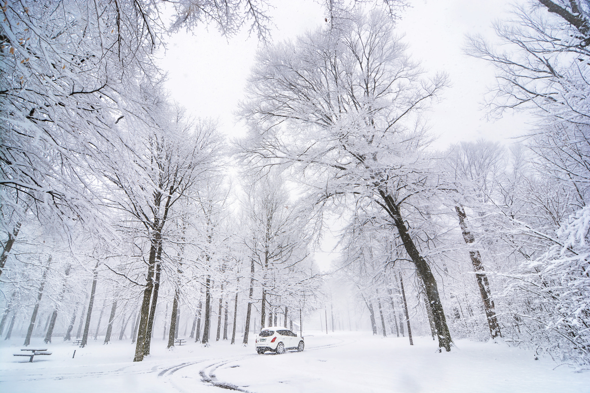 Tokina AT-X Pro 11-16mm F2.8 DX sample photo. White drive photography