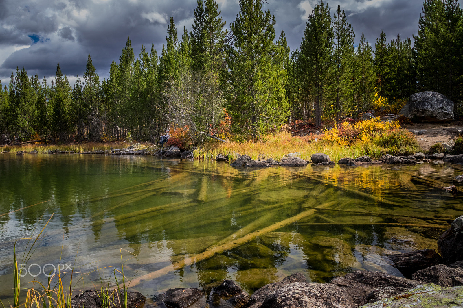 Sigma 18-250mm F3.5-6.3 DC OS HSM sample photo. Watertrees photography