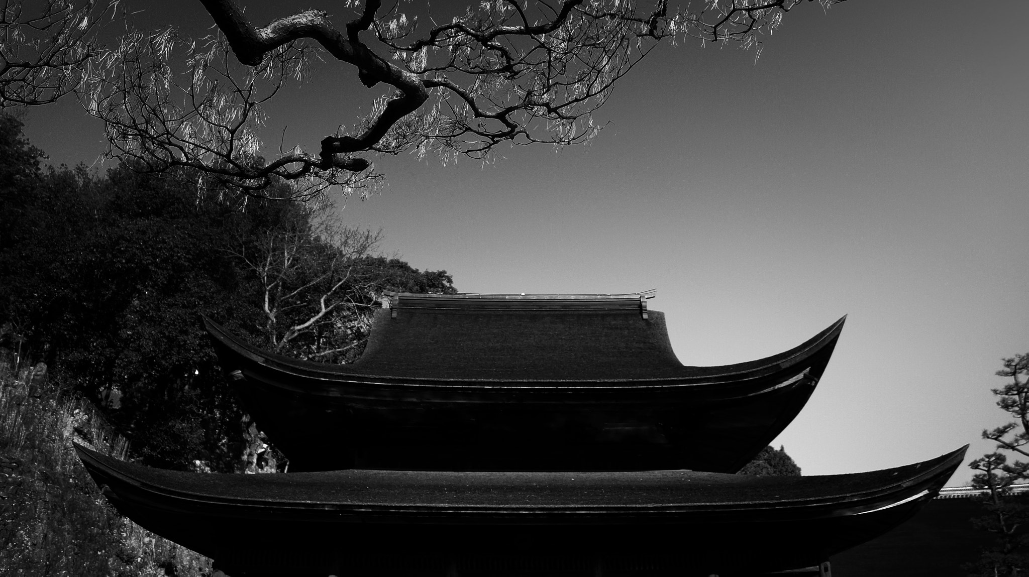 Sony Alpha NEX-5 sample photo. 【 silhouette works 】temple : gifu,tajimi photography