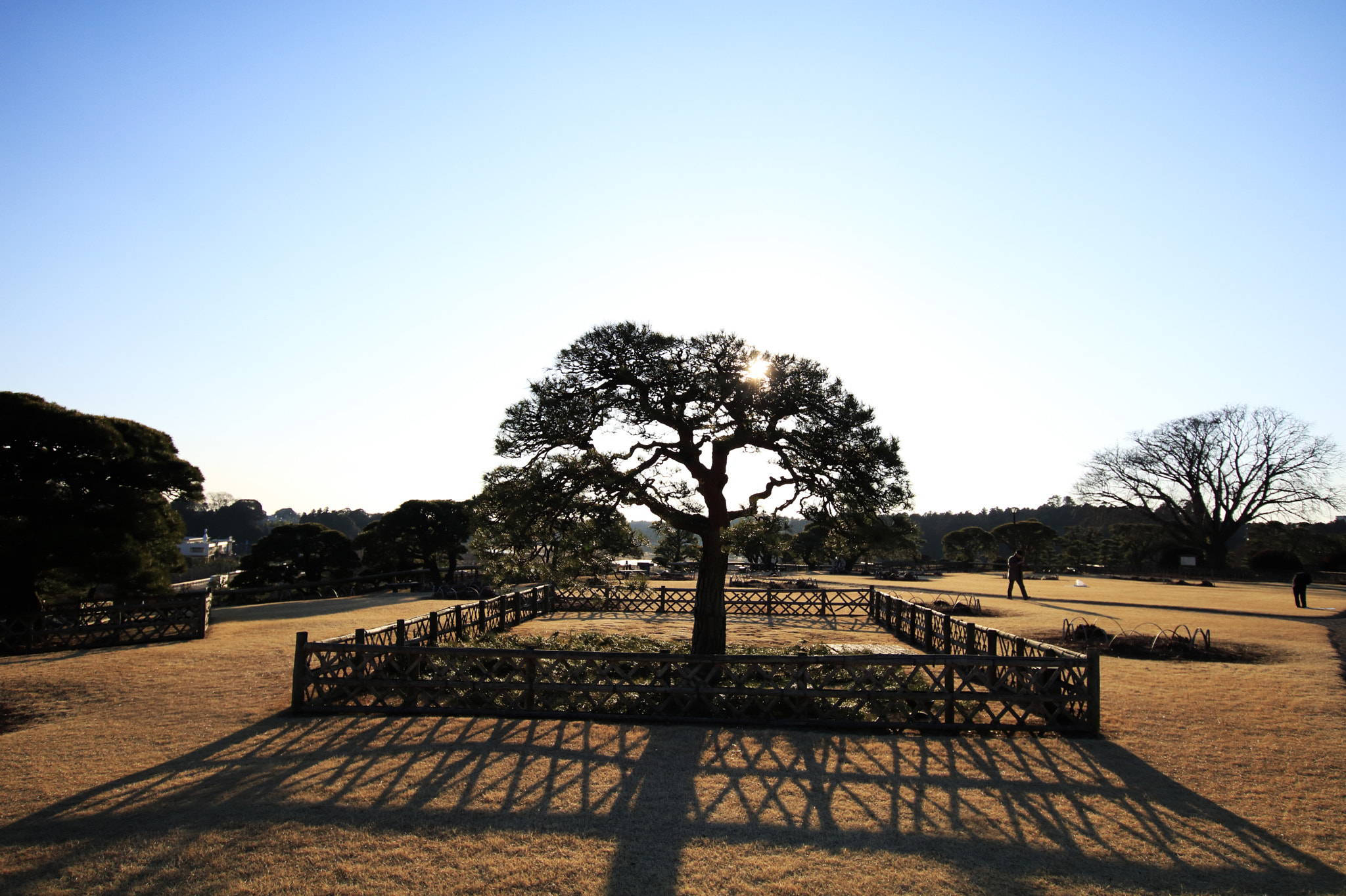 Canon EOS 760D (EOS Rebel T6s / EOS 8000D) + Sigma 10-20mm F3.5 EX DC HSM sample photo. Start from 0. photography