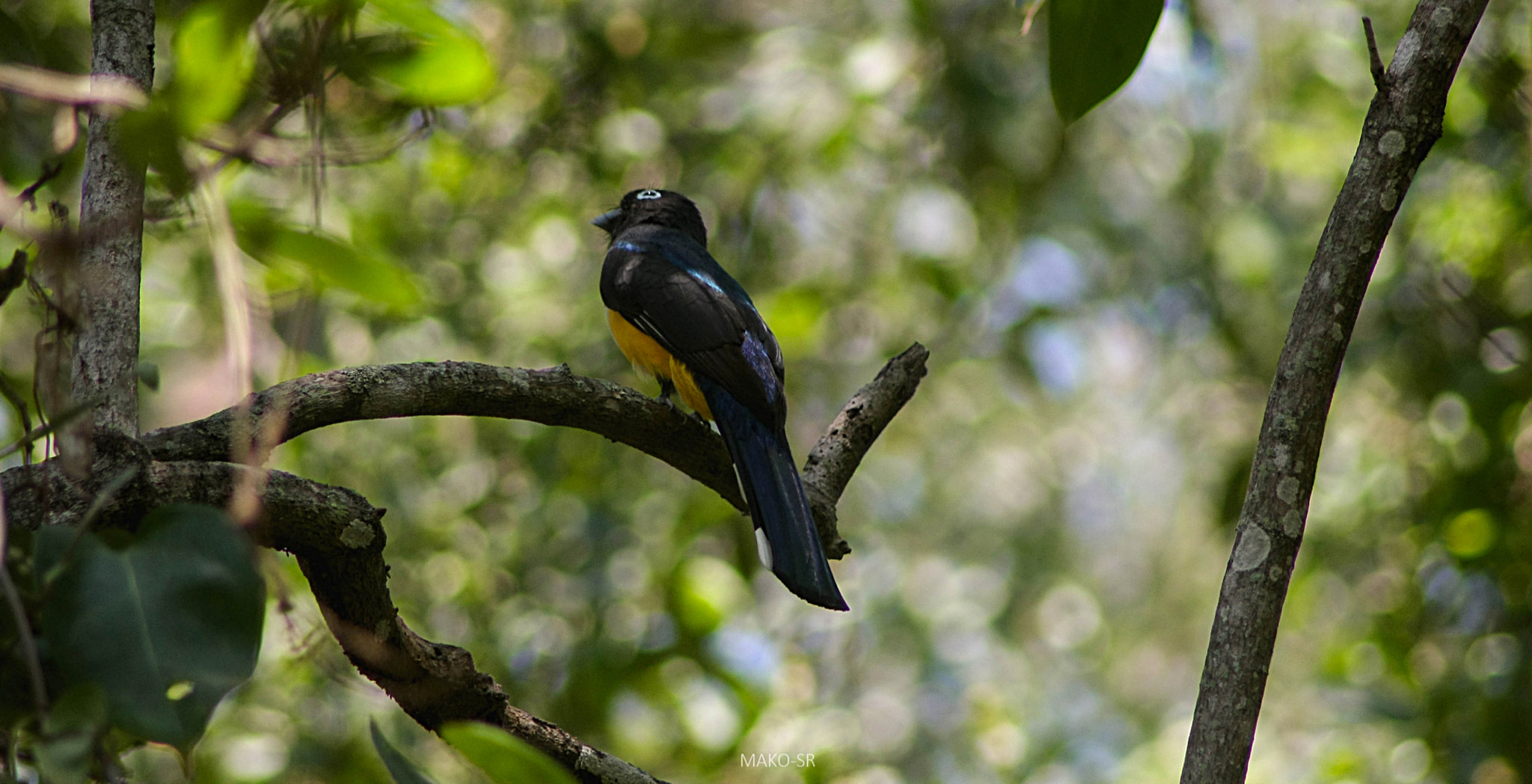 Canon EOS 40D sample photo. Alerta y atento photography