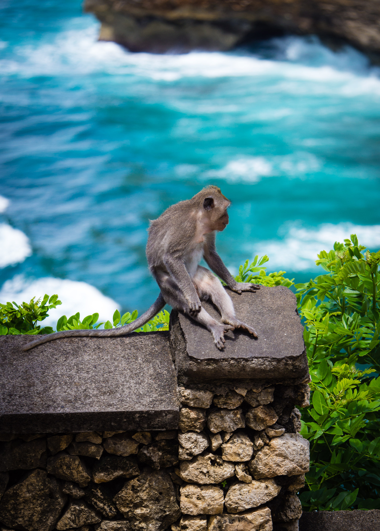 Panasonic Lumix G X Vario 35-100mm F2.8 OIS sample photo. Bali photography