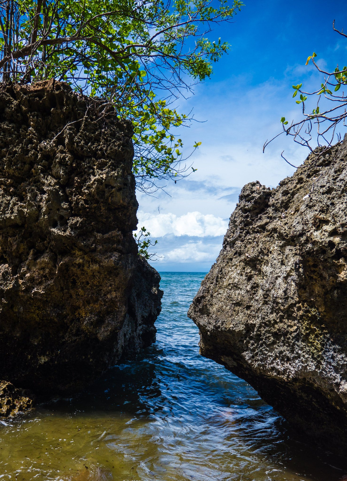 Panasonic Lumix G X Vario 12-35mm F2.8 ASPH Power OIS sample photo. Bali photography