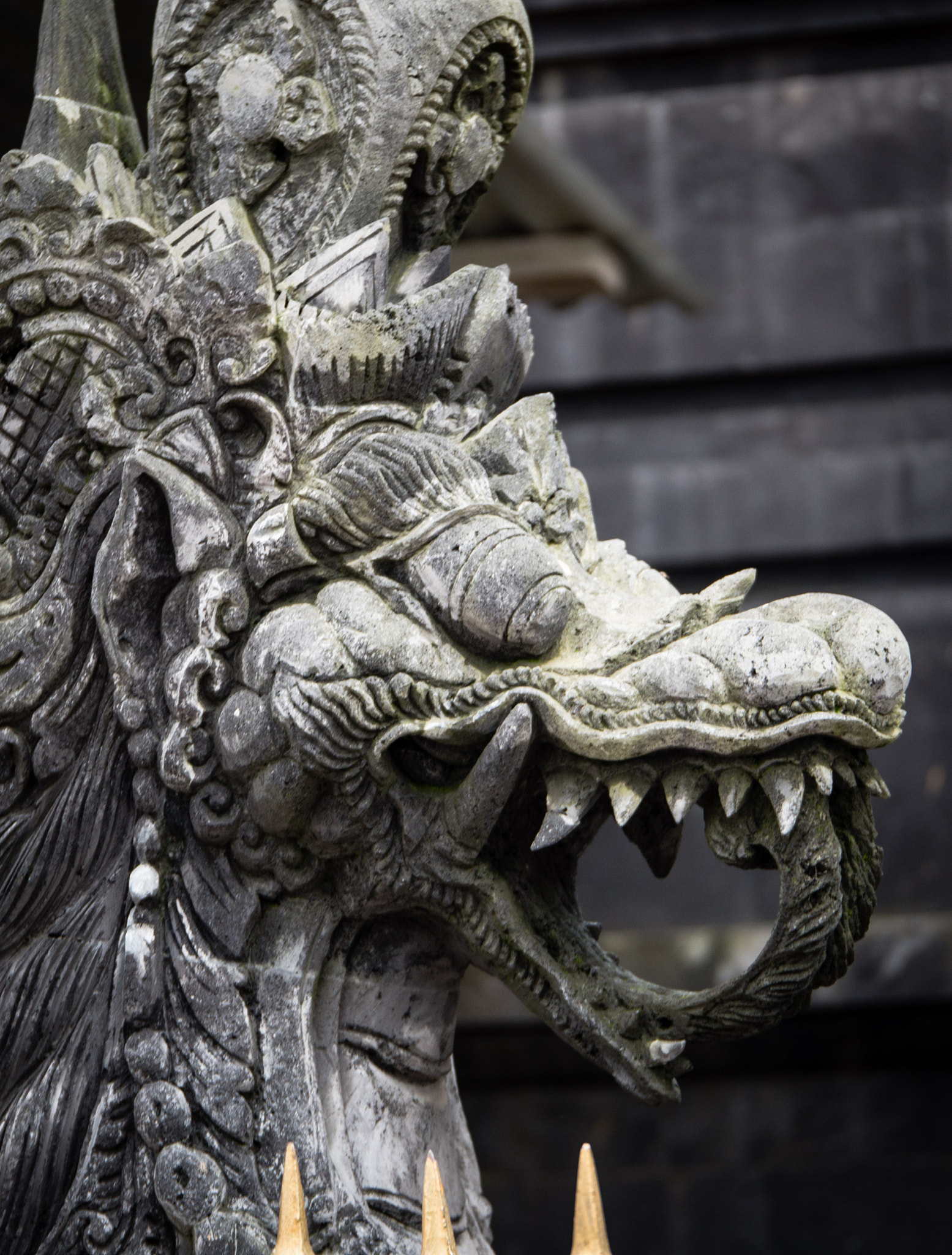 Panasonic Lumix G X Vario 35-100mm F2.8 OIS sample photo. Bali photography
