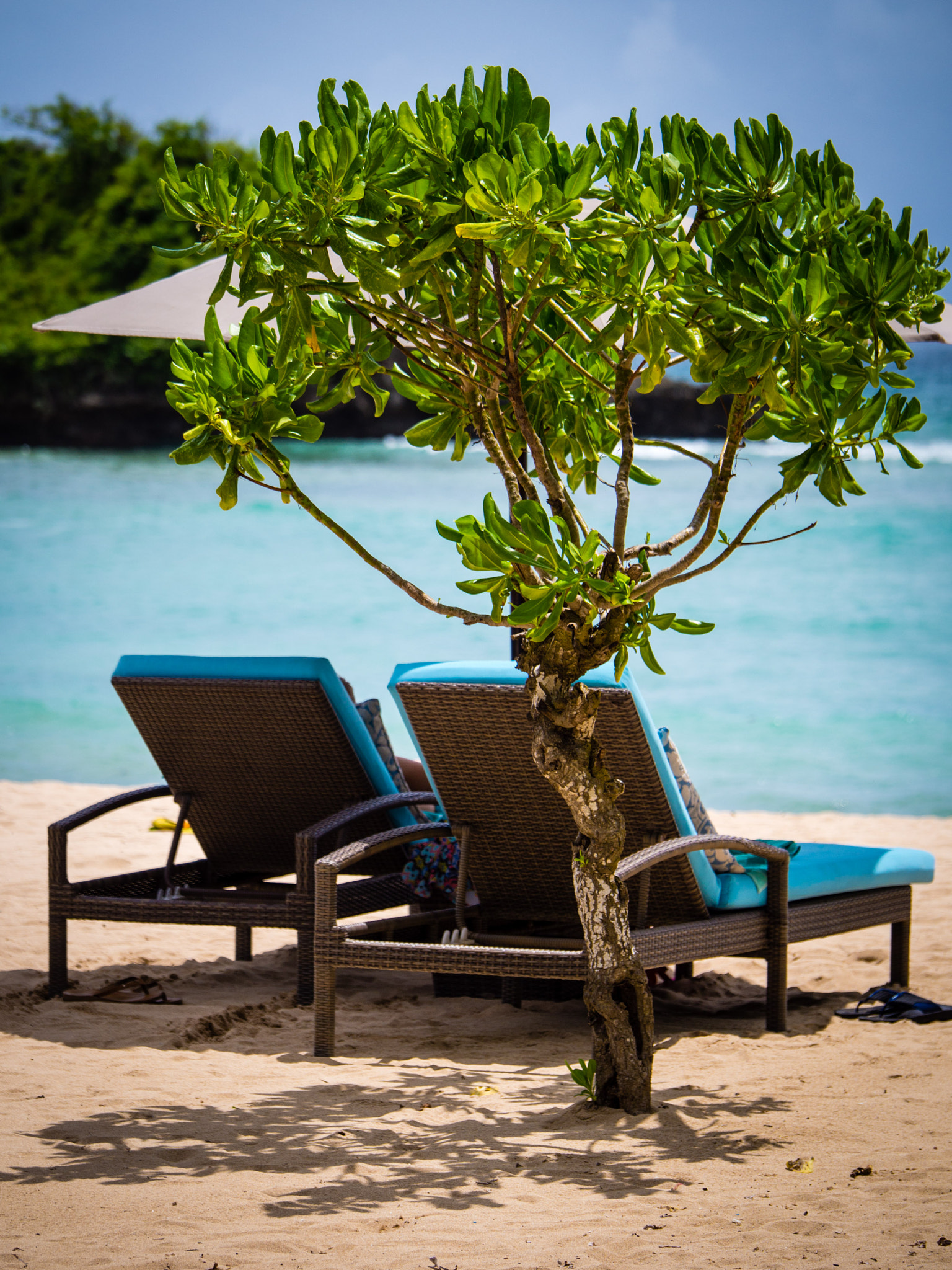Panasonic Lumix G X Vario 35-100mm F2.8 OIS sample photo. Bali photography