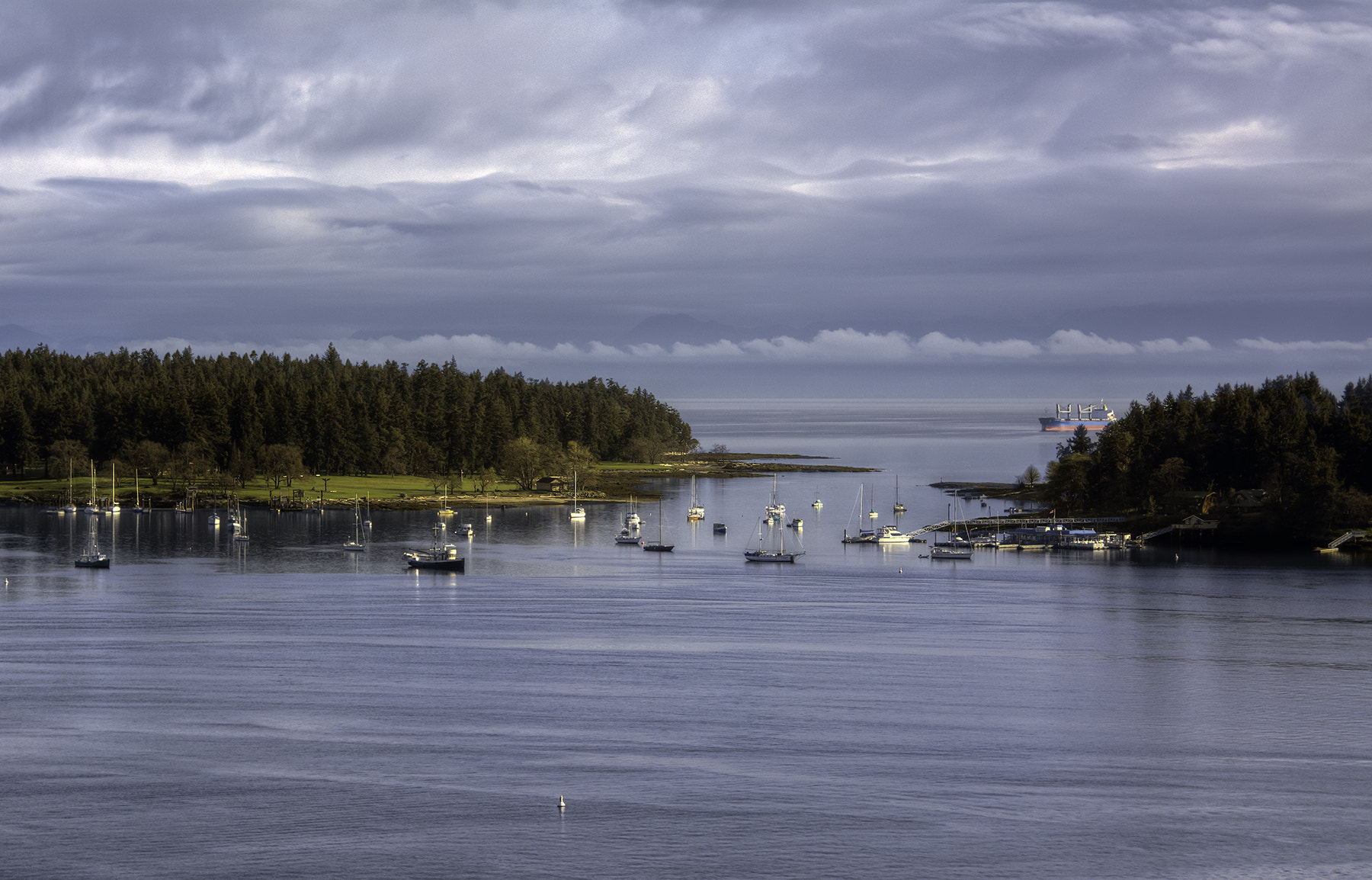 Nikon AF-S Nikkor 24-120mm F4G ED VR sample photo. View from nanaimo photography