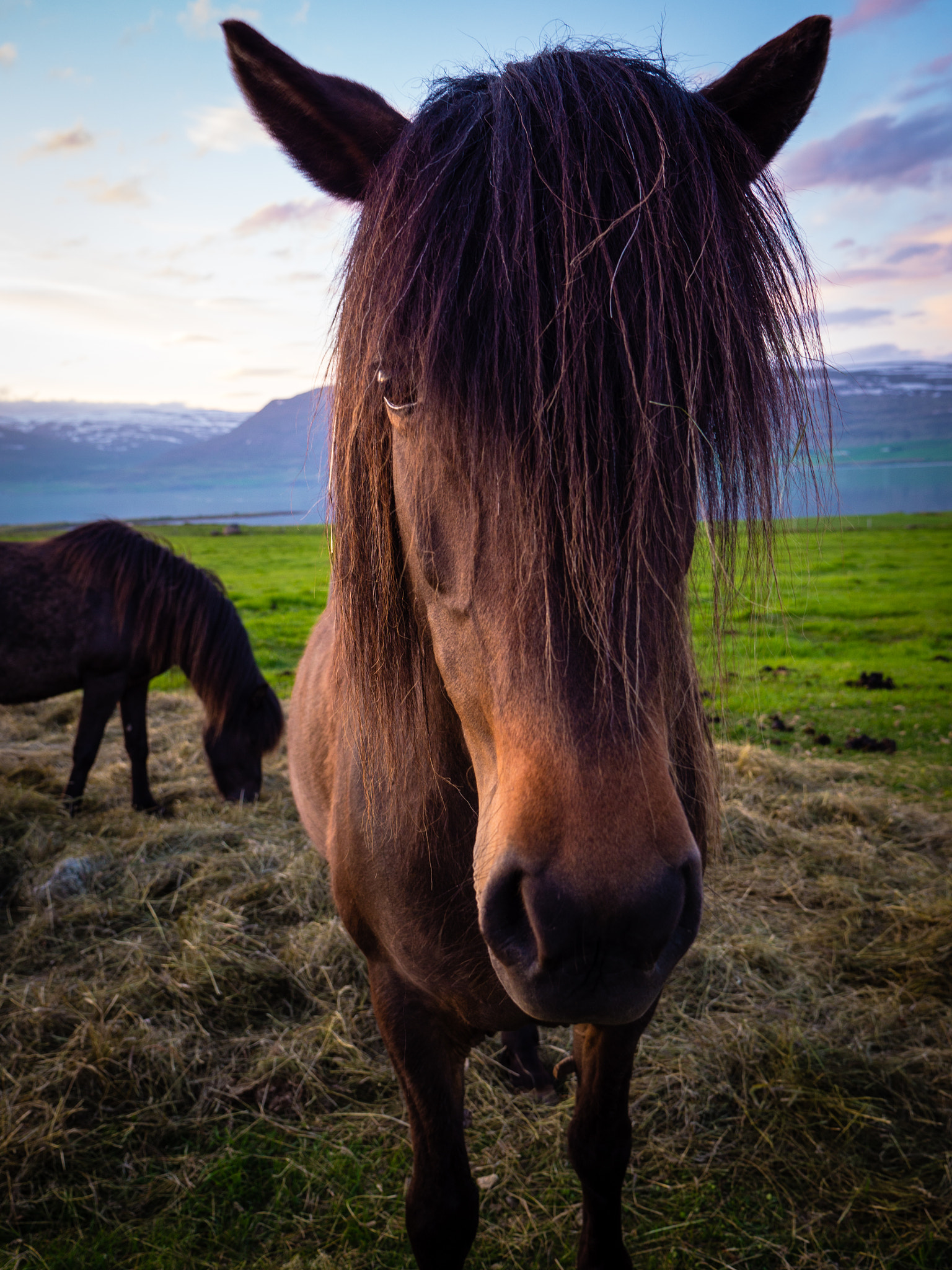 Panasonic Lumix G X Vario 12-35mm F2.8 ASPH Power OIS sample photo. Iceland photography