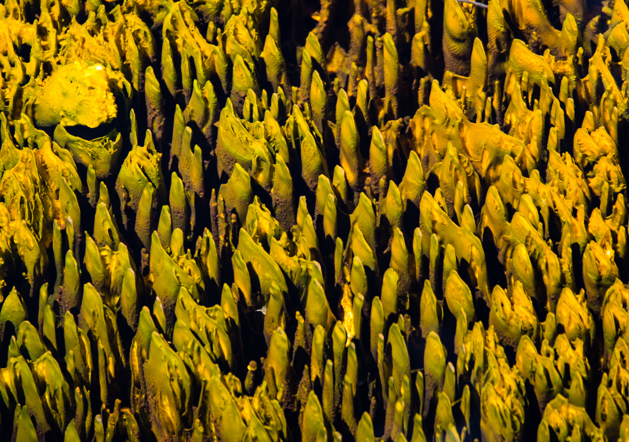 Panasonic Lumix G X Vario 35-100mm F2.8 OIS sample photo. Tetons & yellowstone photography
