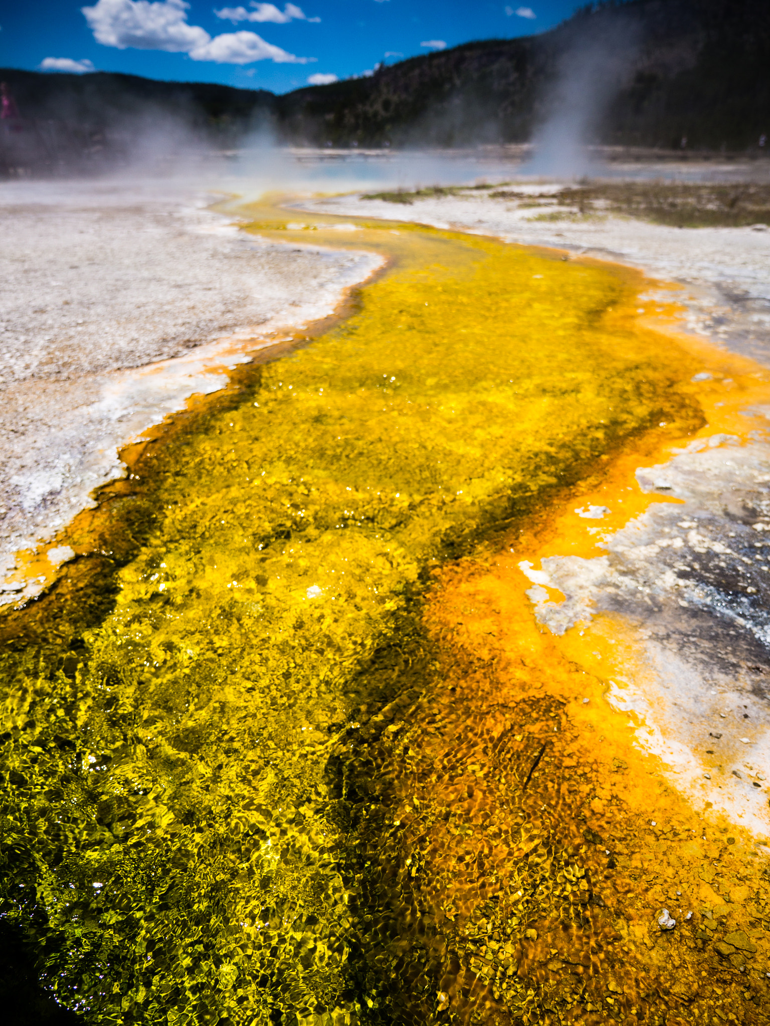 Panasonic Lumix G X Vario 12-35mm F2.8 ASPH Power OIS sample photo. Tetons & yellowstone photography