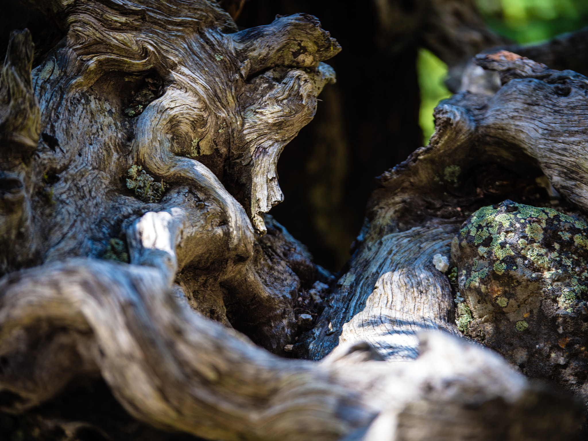 Panasonic Lumix G X Vario 35-100mm F2.8 OIS sample photo. Tetons & yellowstone photography