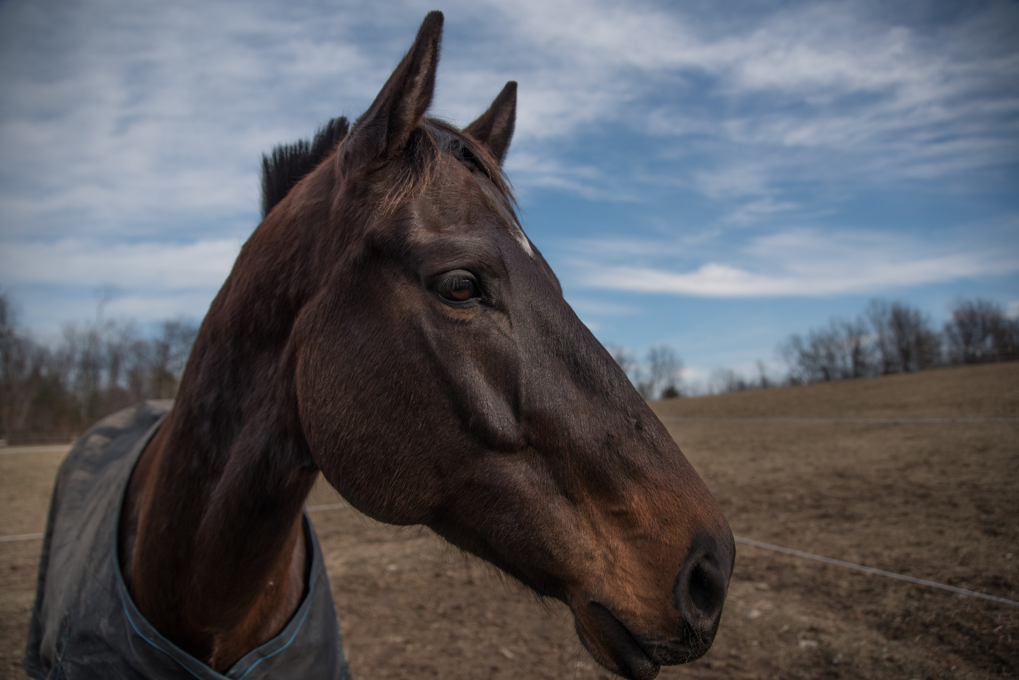 Nikon D750 + Sigma 24-105mm F4 DG OS HSM Art sample photo. February photography