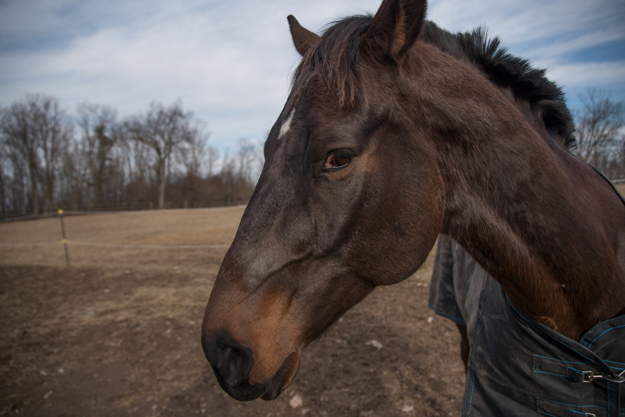 Nikon D750 + Sigma 24-105mm F4 DG OS HSM Art sample photo. February photography