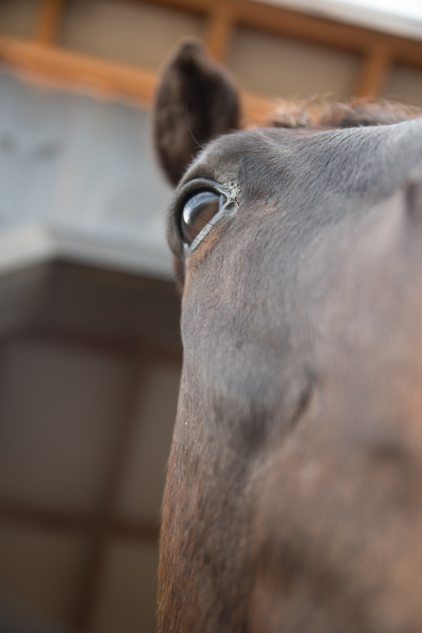 Nikon D750 + Sigma 24-105mm F4 DG OS HSM Art sample photo. February photography