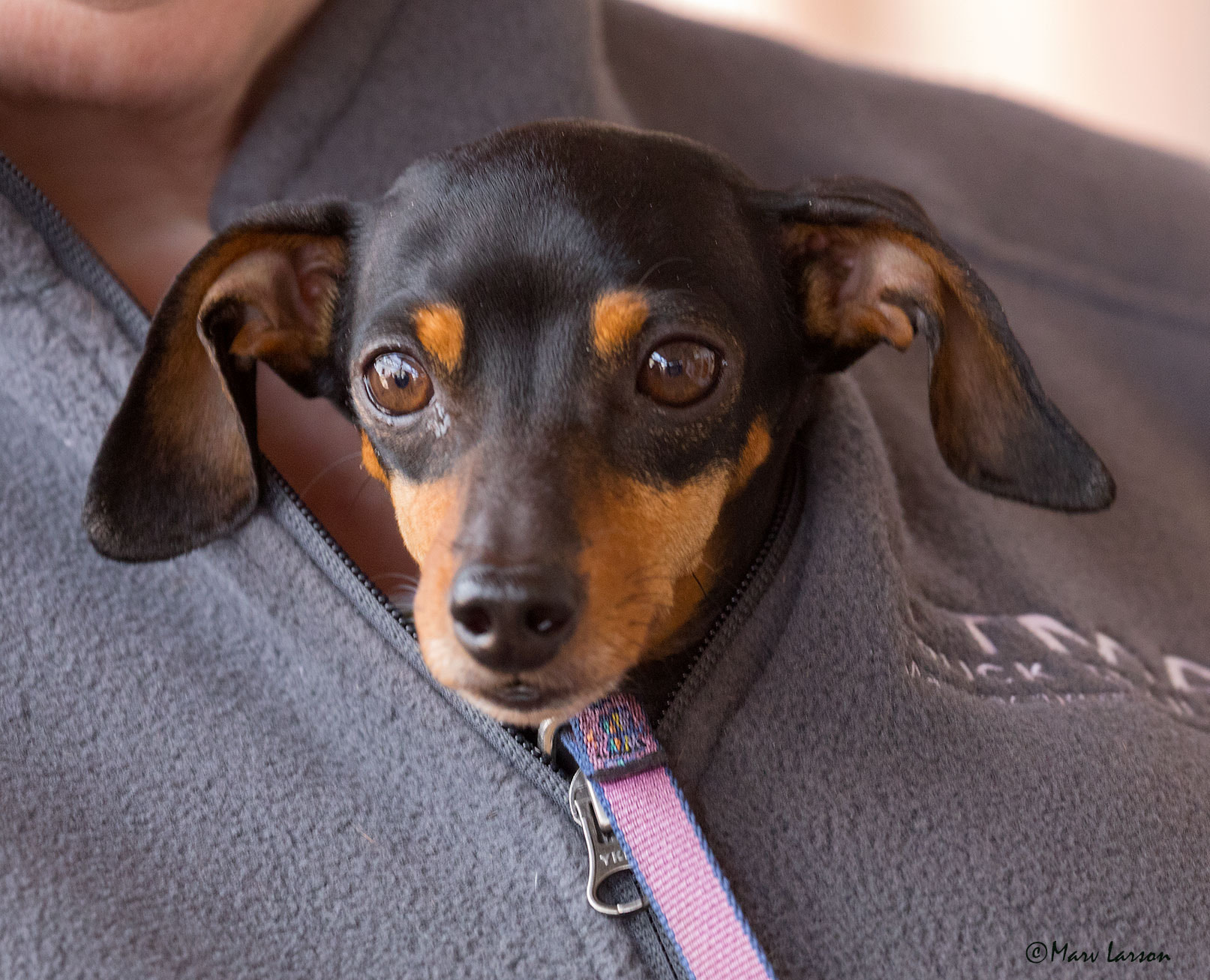 Canon EF 70-300mm F4-5.6L IS USM sample photo