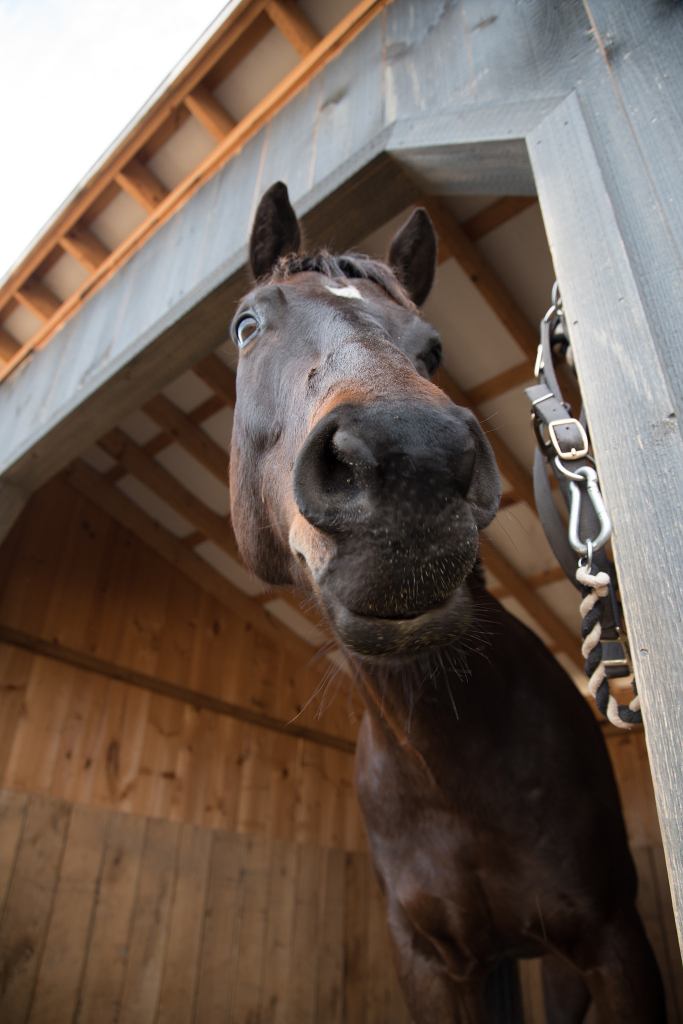 Nikon D750 + Sigma 24-105mm F4 DG OS HSM Art sample photo. February photography