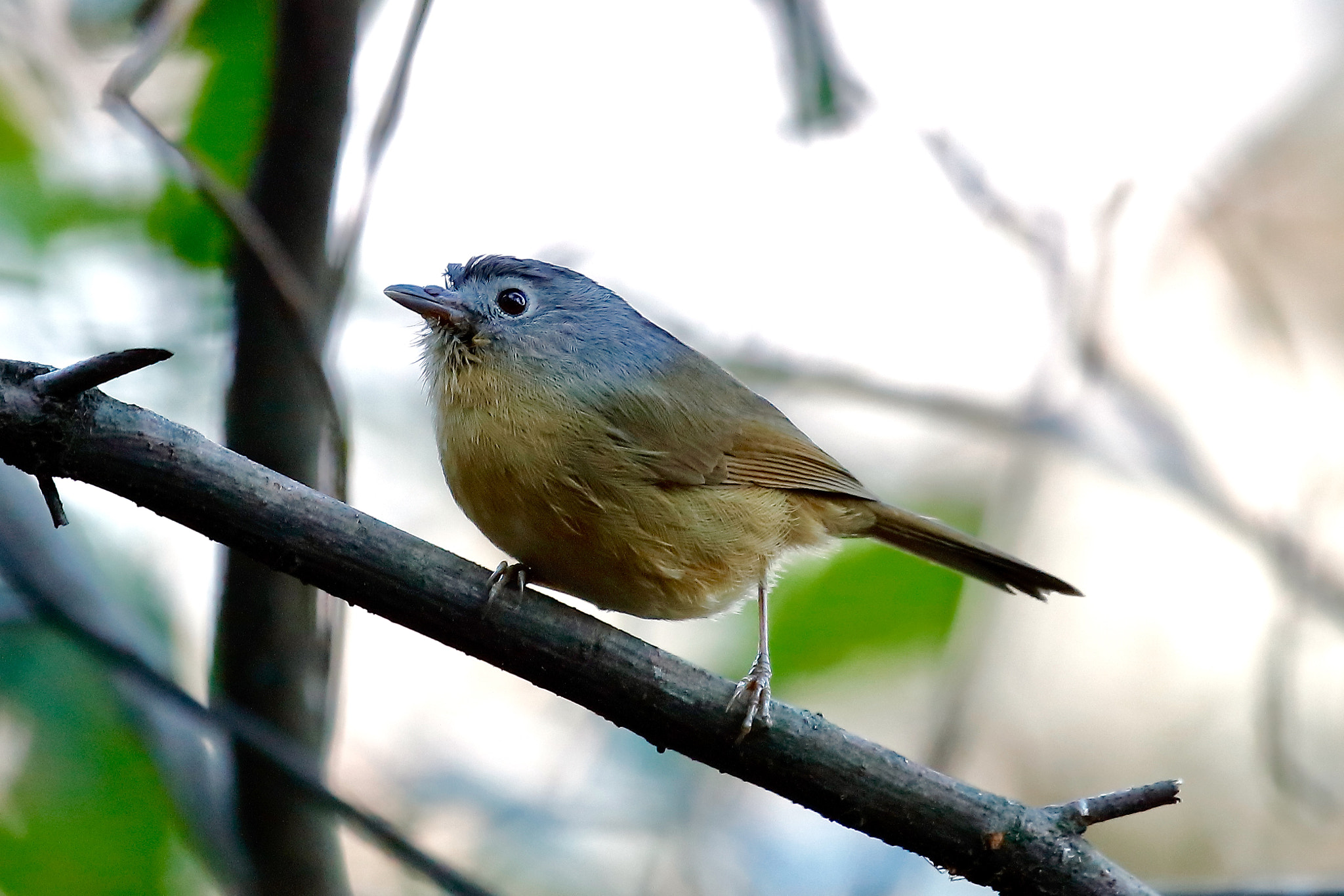 Canon EOS 5DS sample photo