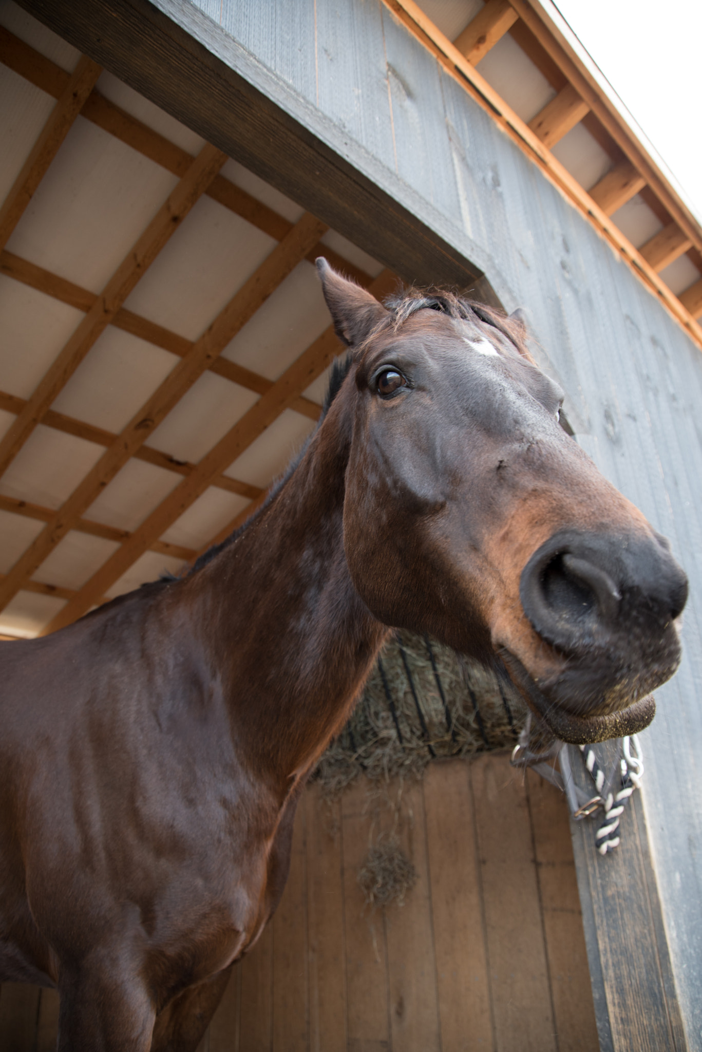 Nikon D750 + Sigma 24-105mm F4 DG OS HSM Art sample photo. February photography