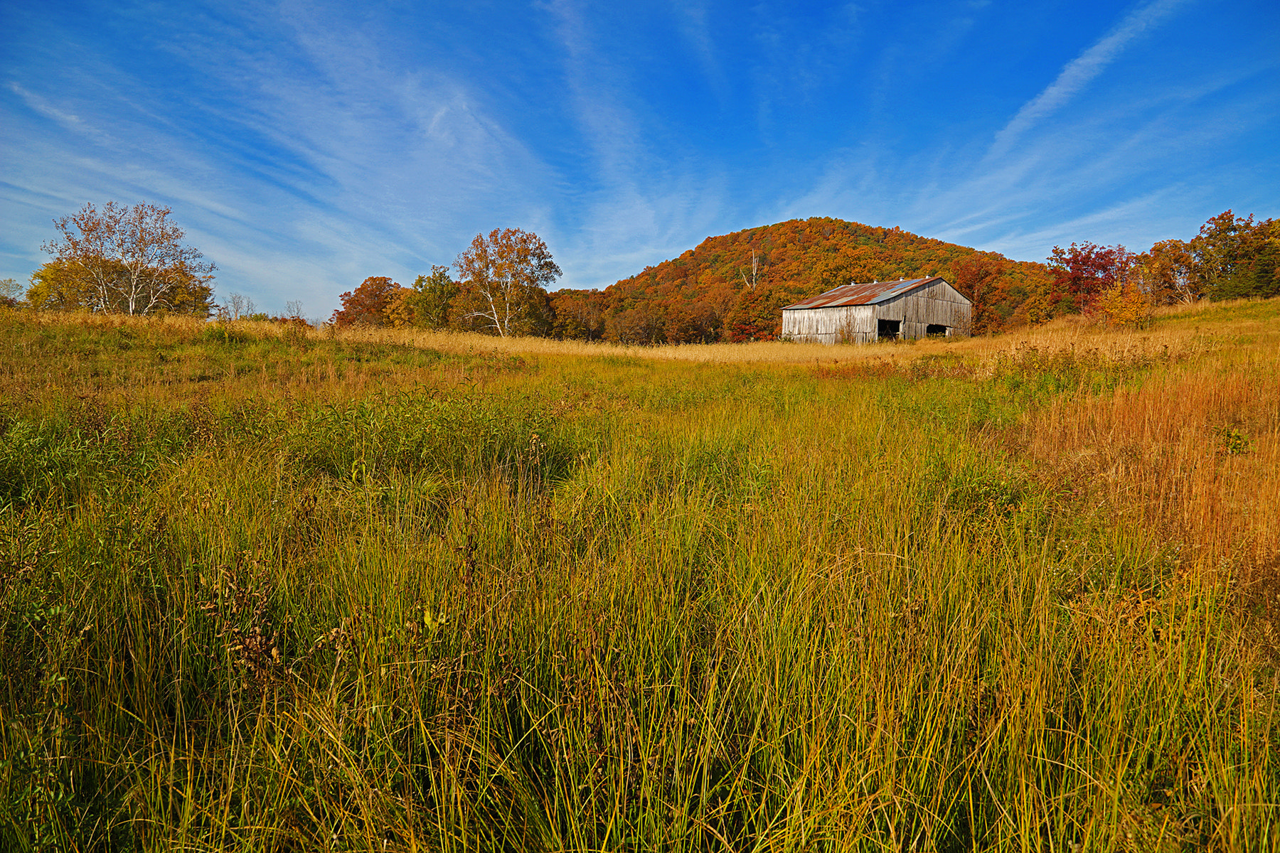 Canon EOS 5DS sample photo. The farm photography