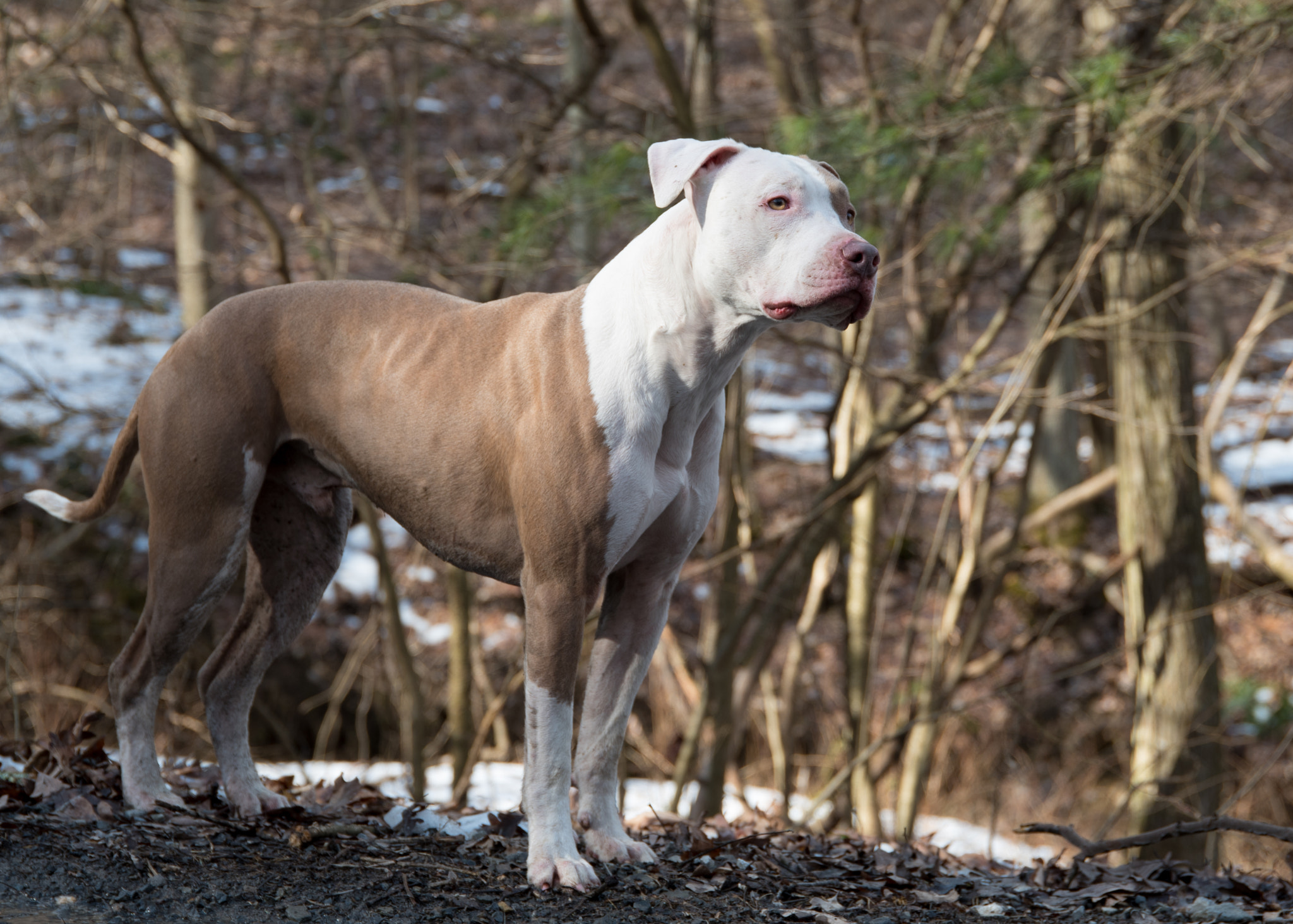 Nikon D750 + Sigma 24-105mm F4 DG OS HSM Art sample photo. February photography