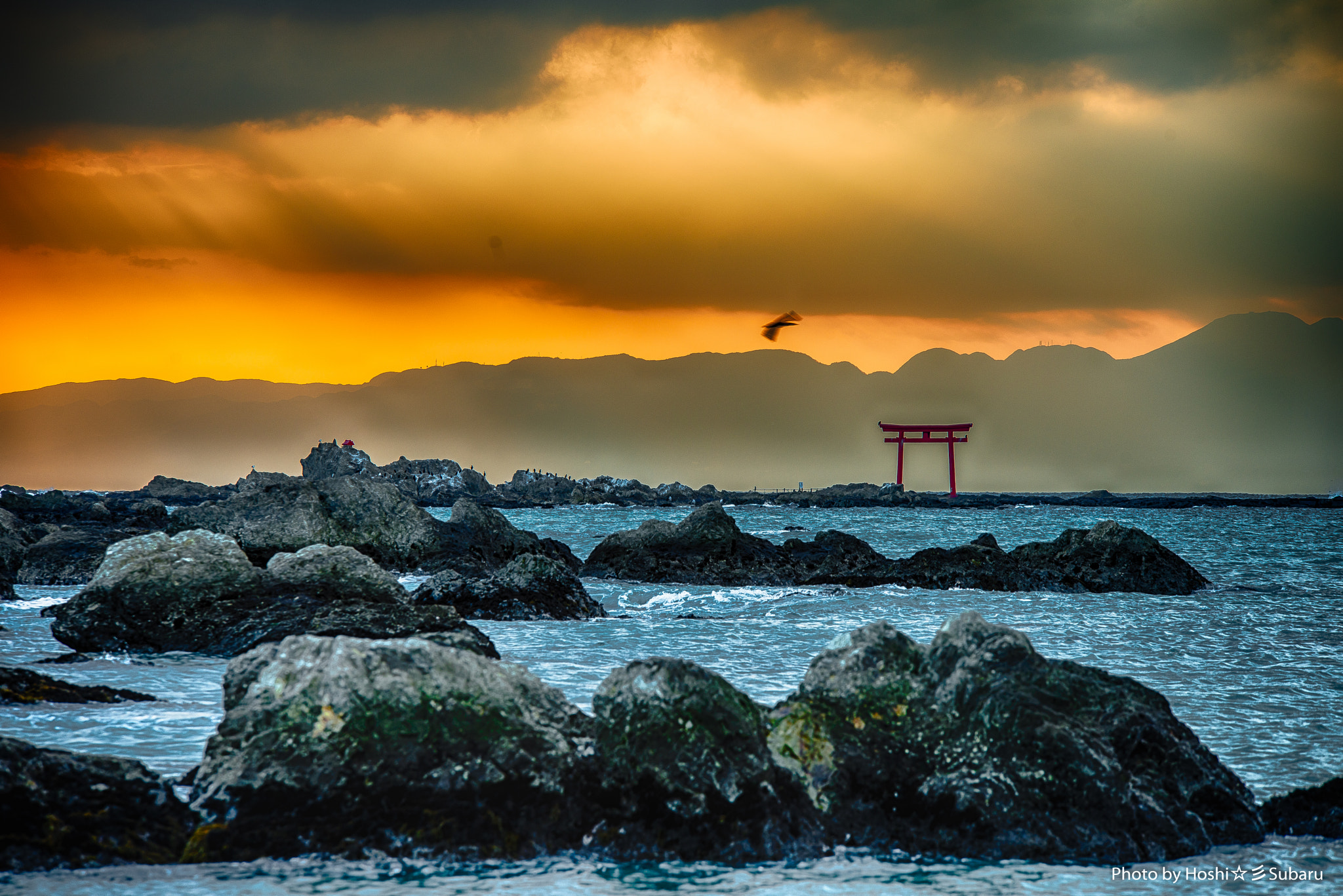 Nikon D800E sample photo. Shrine photography