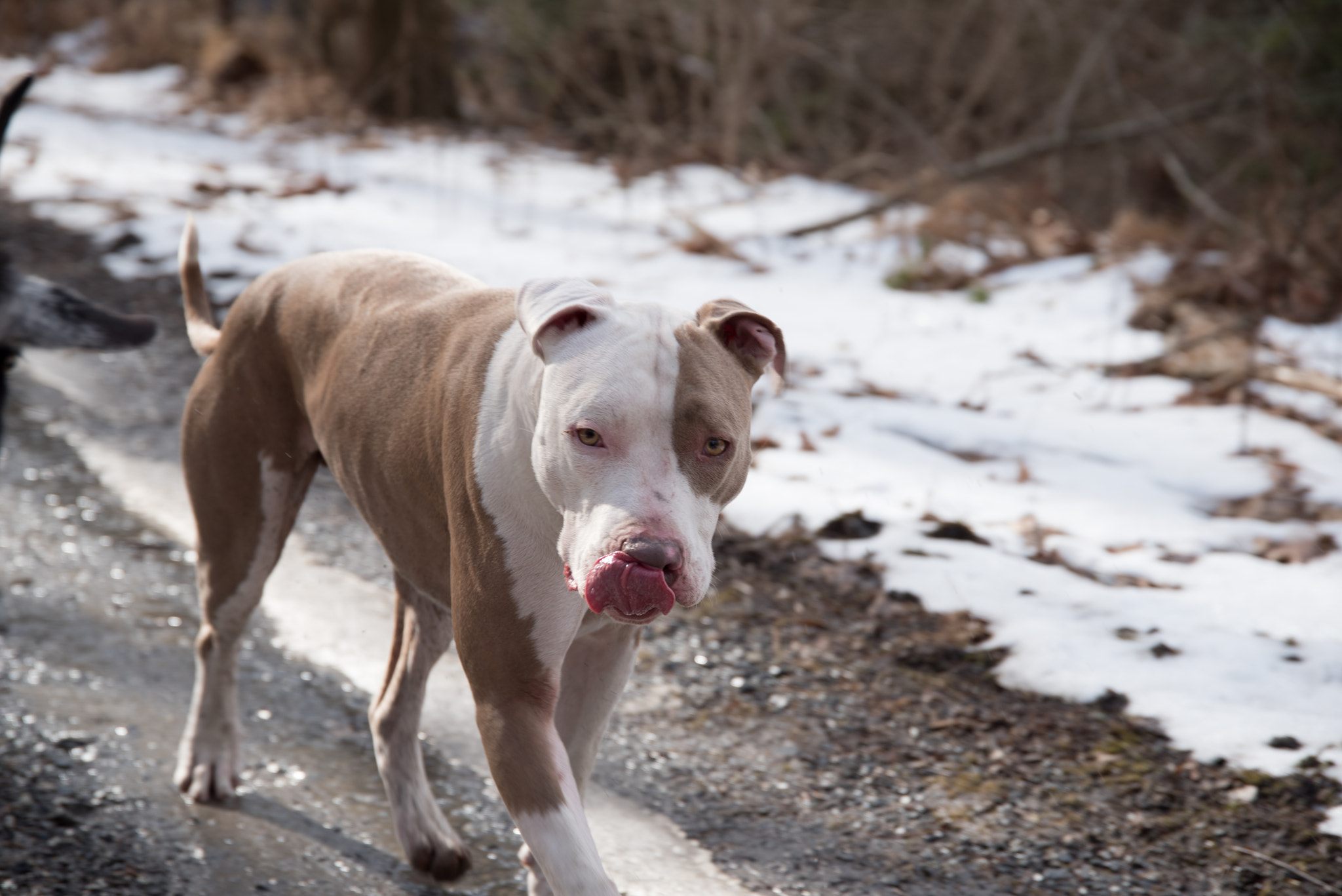 Nikon D750 + Sigma 24-105mm F4 DG OS HSM Art sample photo. February photography