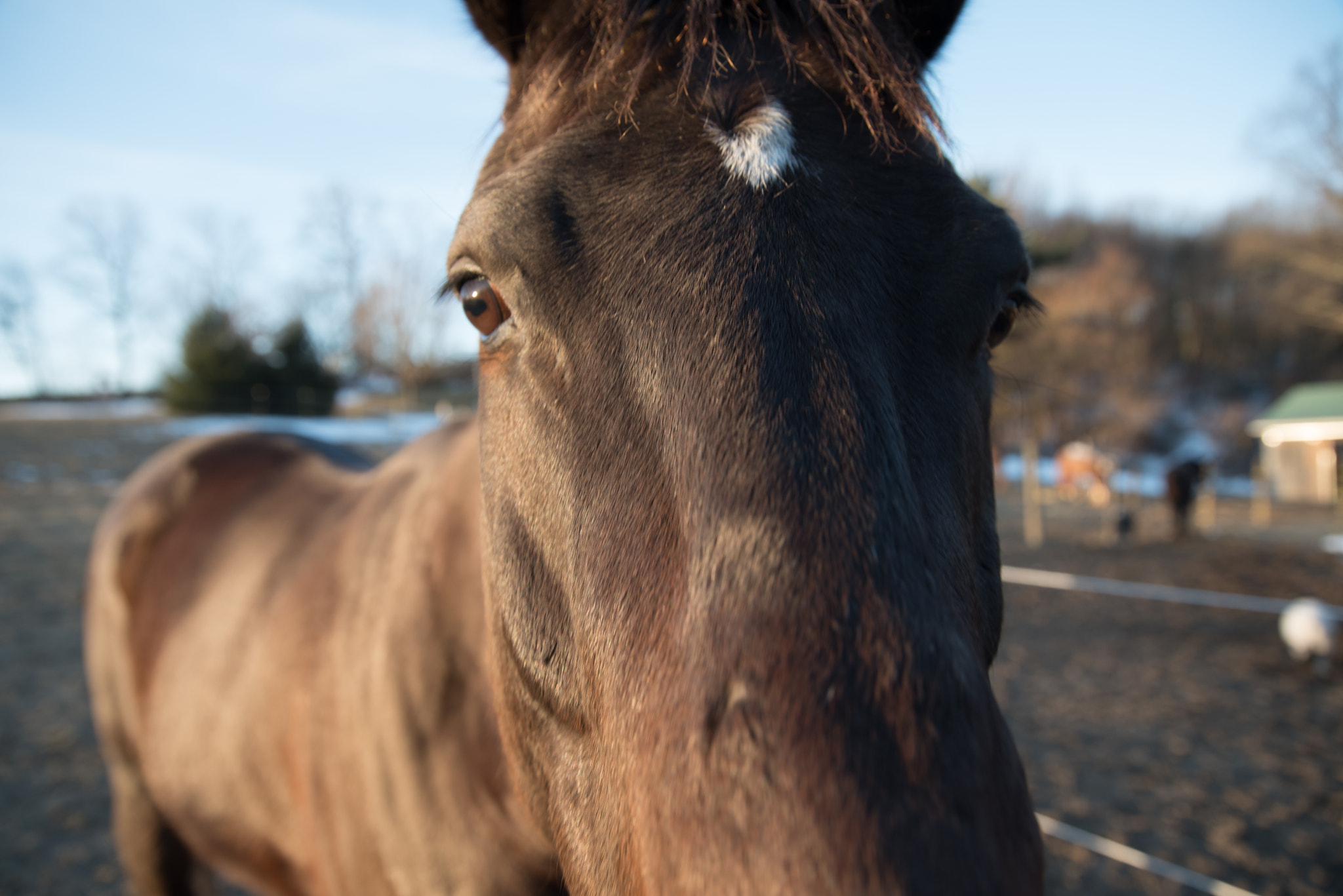 Nikon D750 + Sigma 24-105mm F4 DG OS HSM Art sample photo. February photography
