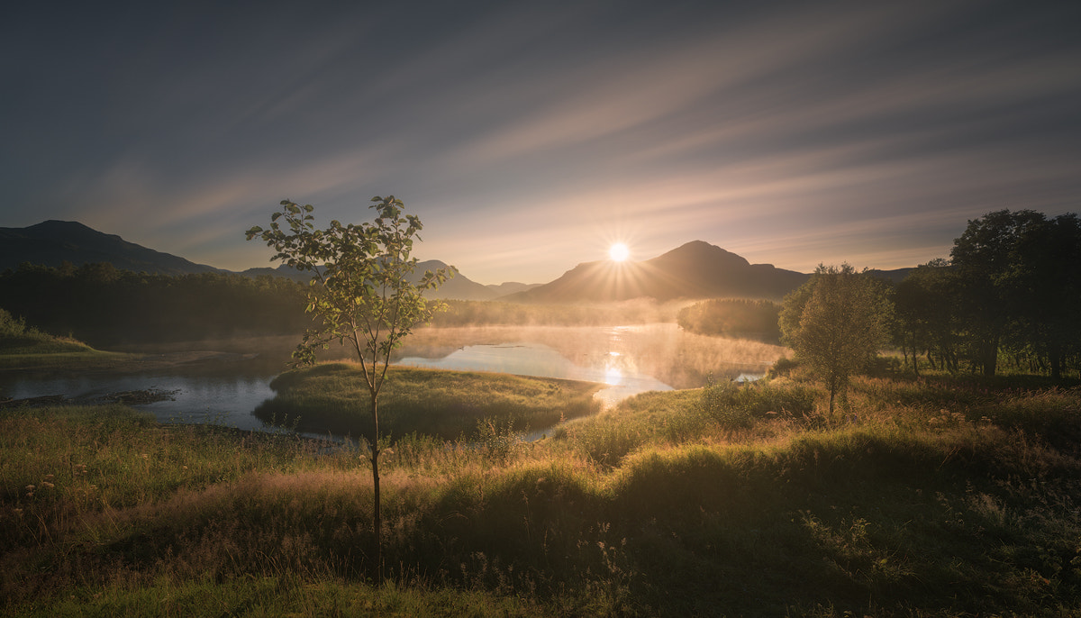 Nikon D810 sample photo. Morgenstemning photography