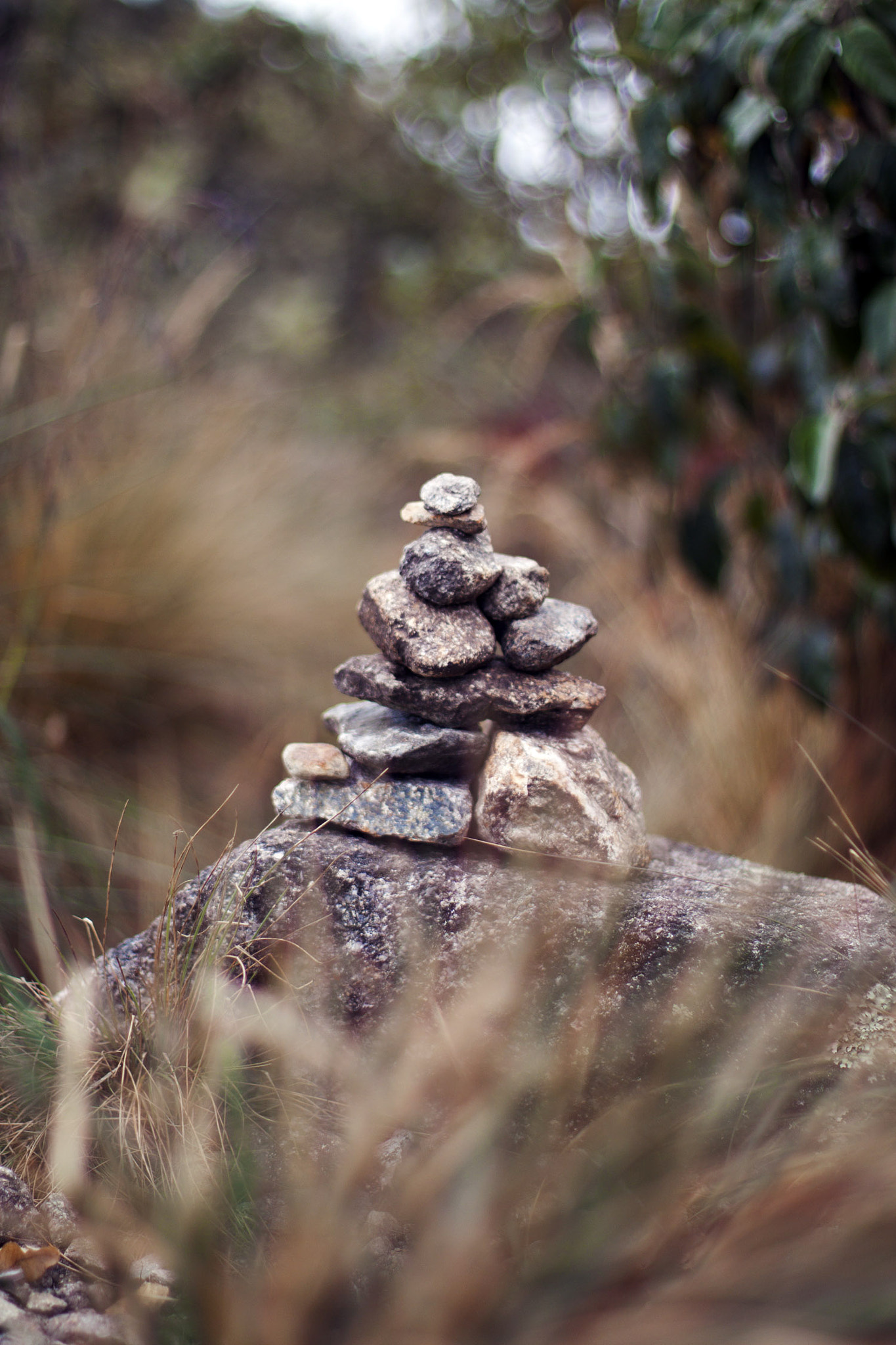 Canon EOS 500D (EOS Rebel T1i / EOS Kiss X3) sample photo. Peru photography