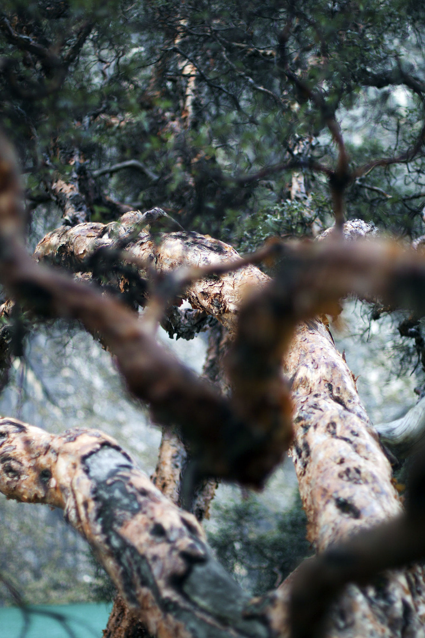 Canon EOS 500D (EOS Rebel T1i / EOS Kiss X3) sample photo. Peru photography