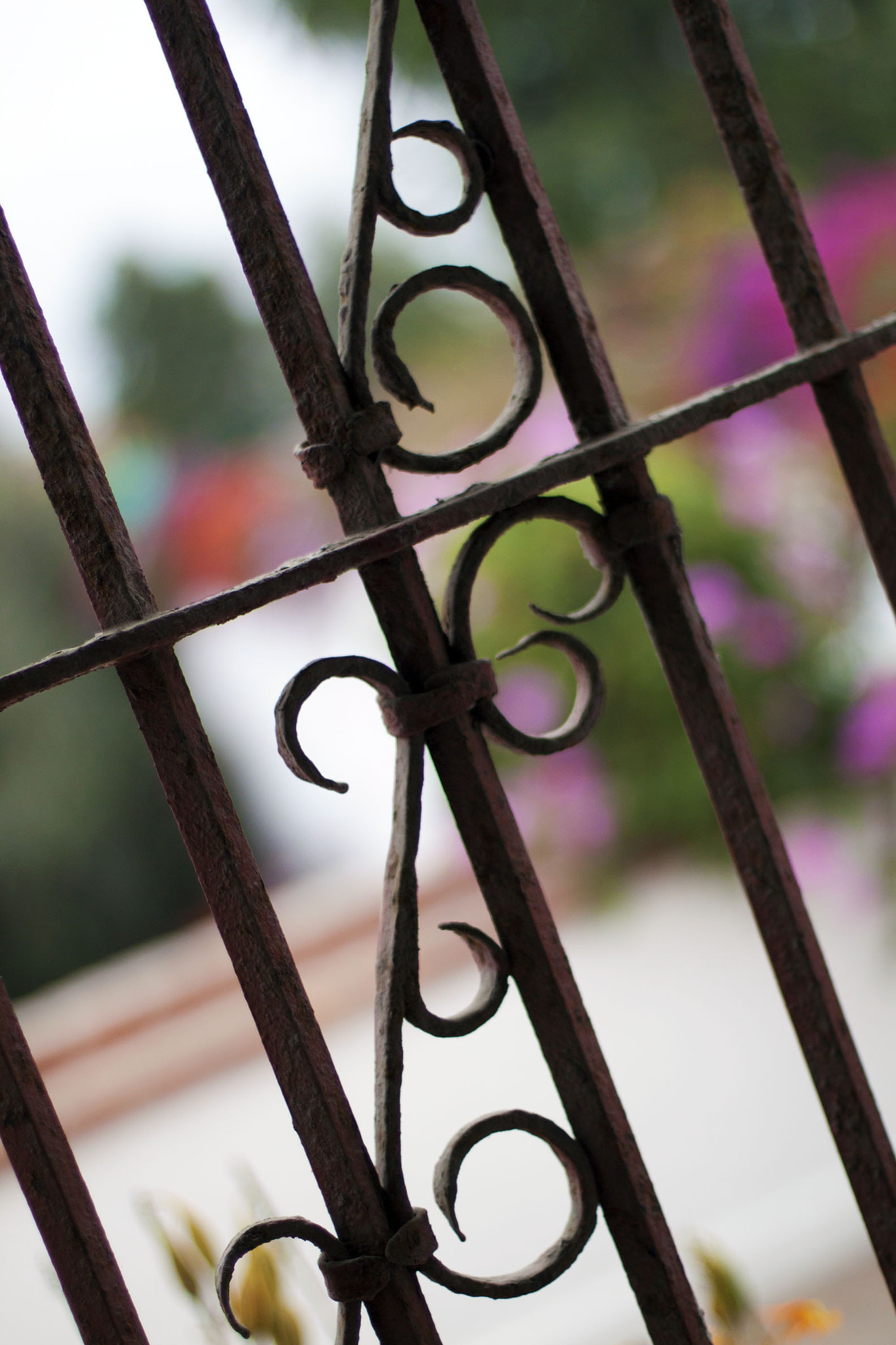 Canon EOS 500D (EOS Rebel T1i / EOS Kiss X3) sample photo. Peru photography